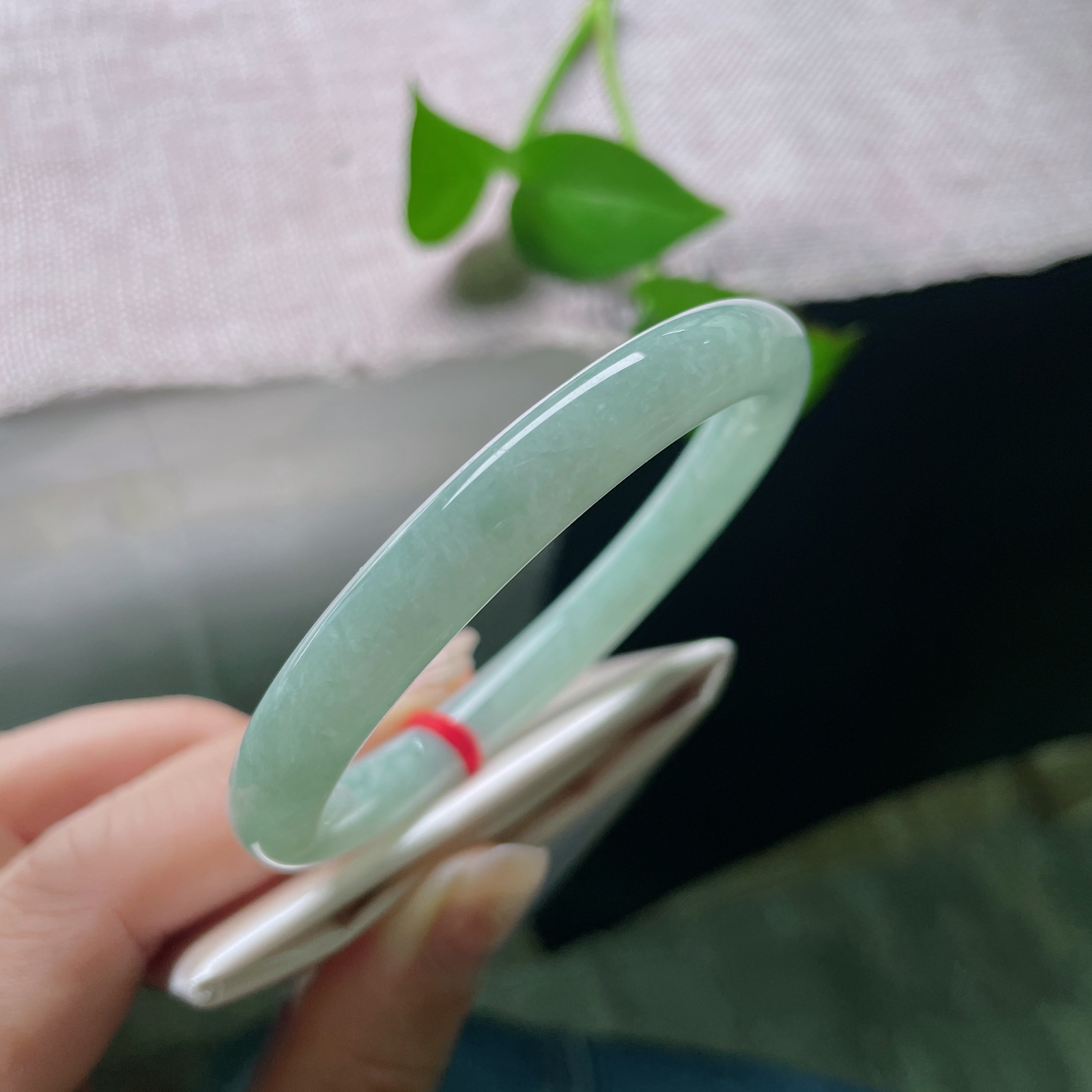 特惠活动，54.8/8.4，果绿底圆条，干净清爽，淡雅倾心，种老，不失甜美，皮纹。ss56639a