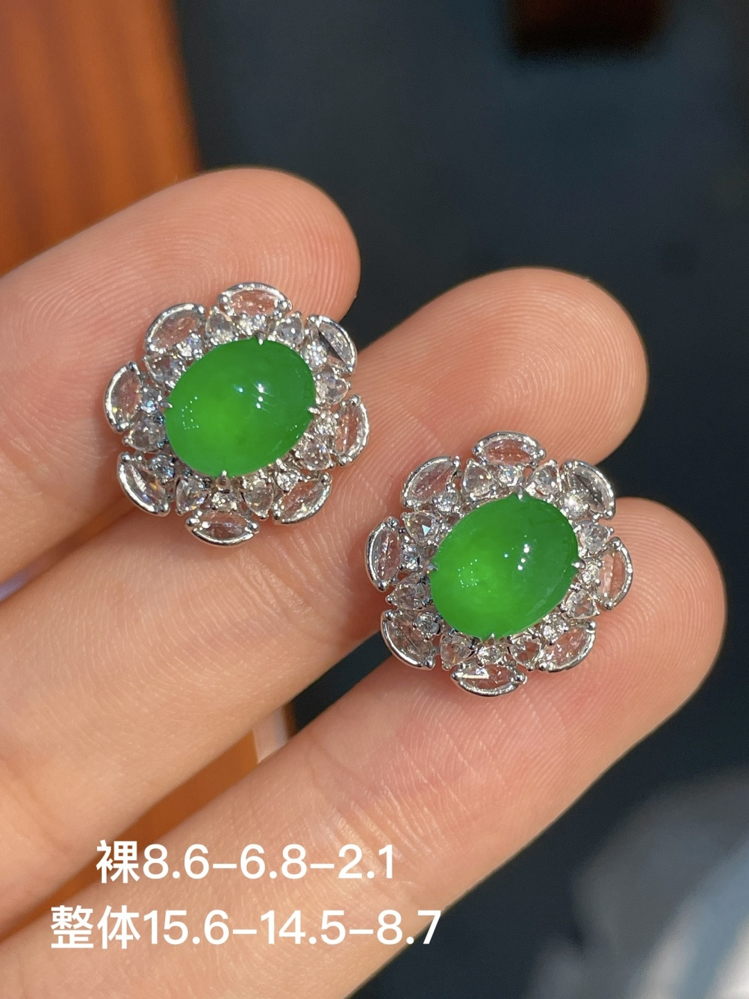 ️阳绿蛋面耳扣，无裂 18k金镶嵌，8.6-6.8-2.1