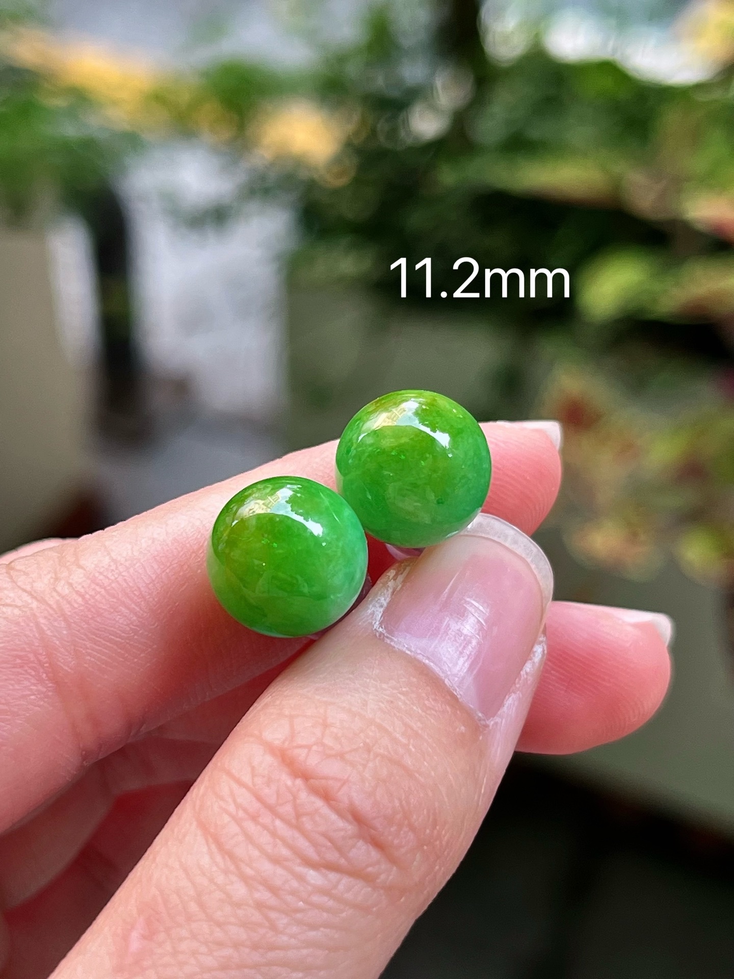 ️ 天然缅甸a翡翠 黄加绿珠耳钉 直径尺寸11.2mm