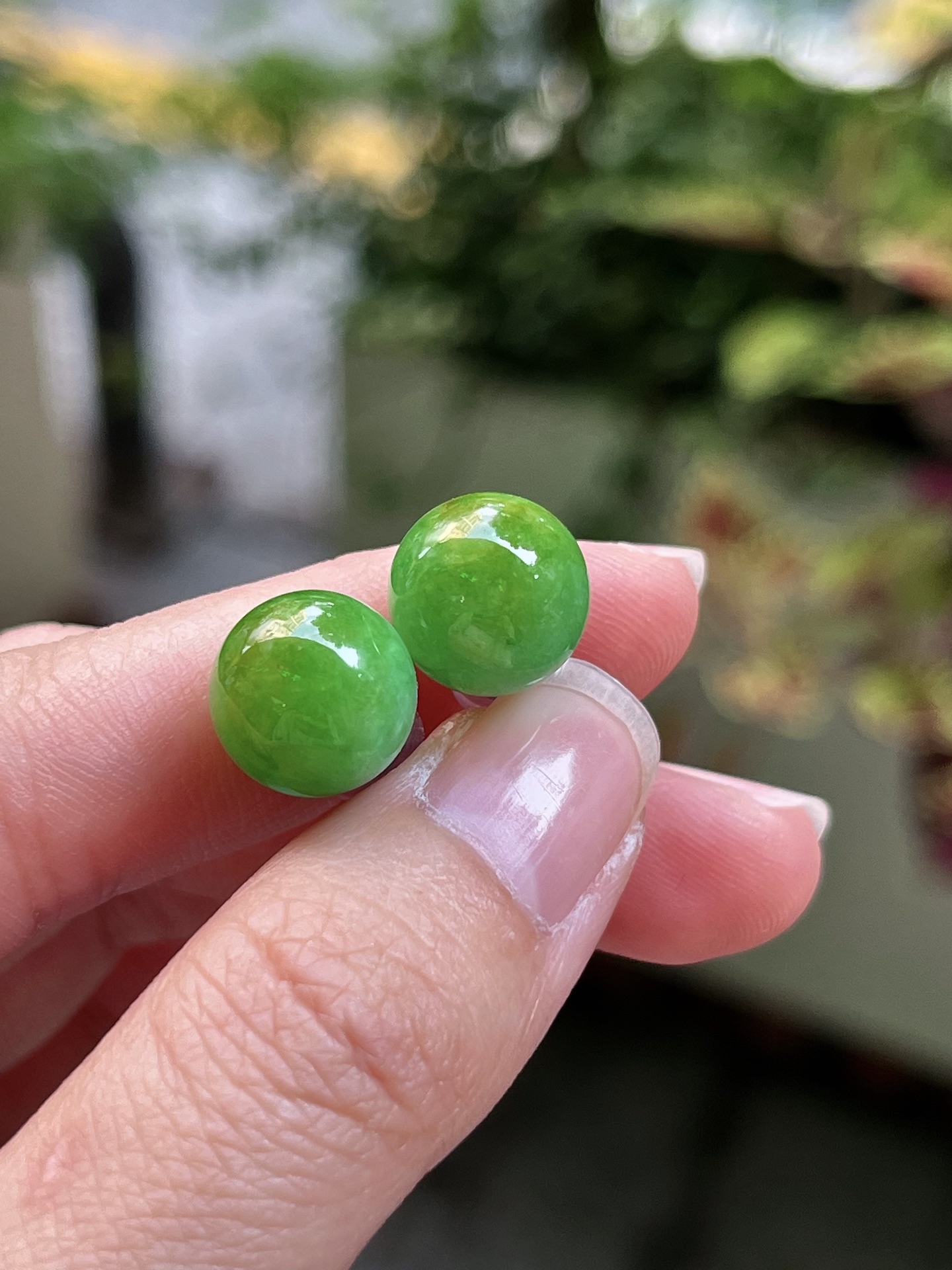️ 天然缅甸a翡翠 黄加绿珠耳钉 直径尺寸11.2mm