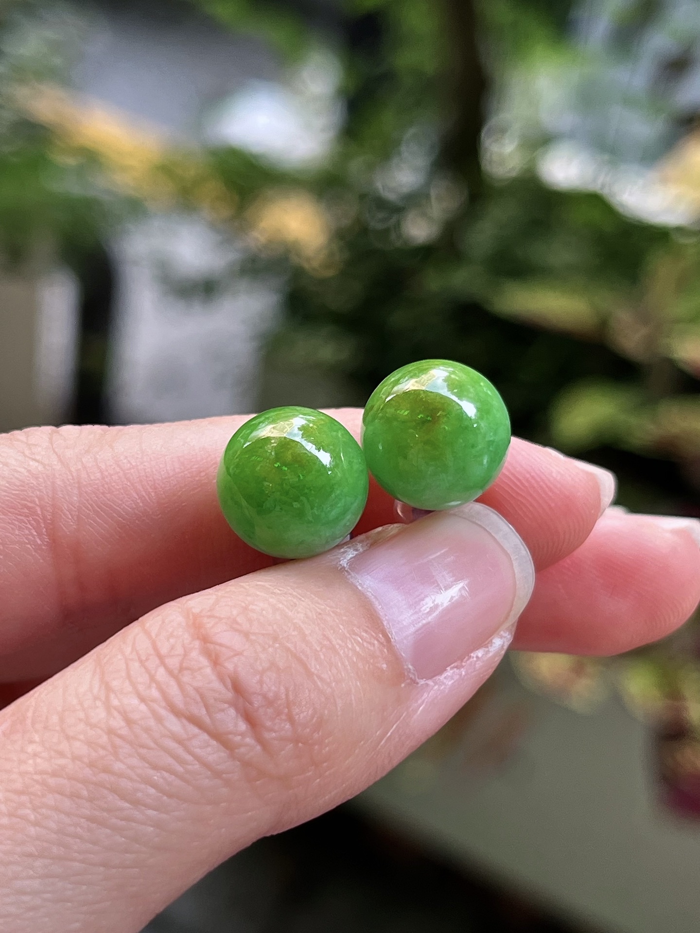 ️ 天然缅甸a翡翠 黄加绿珠耳钉 直径尺寸11.2mm