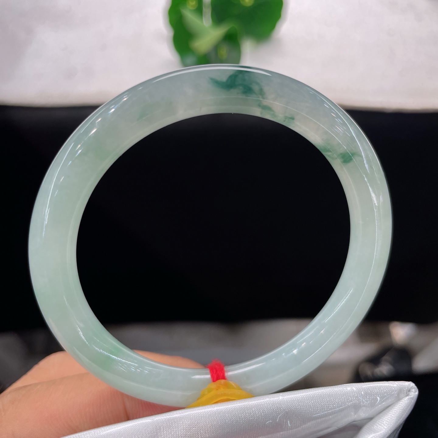 天然翡翠手镯 圈口55.4/7.7/8.0，冰种飘花美人镯，底色干净澄澈，翠花随性晕染，虚实相生，晶