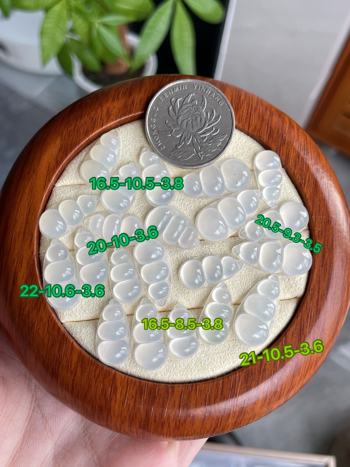 纯净冰种莹白福豆一首21颗 S28，16.5-10.5-3.8
