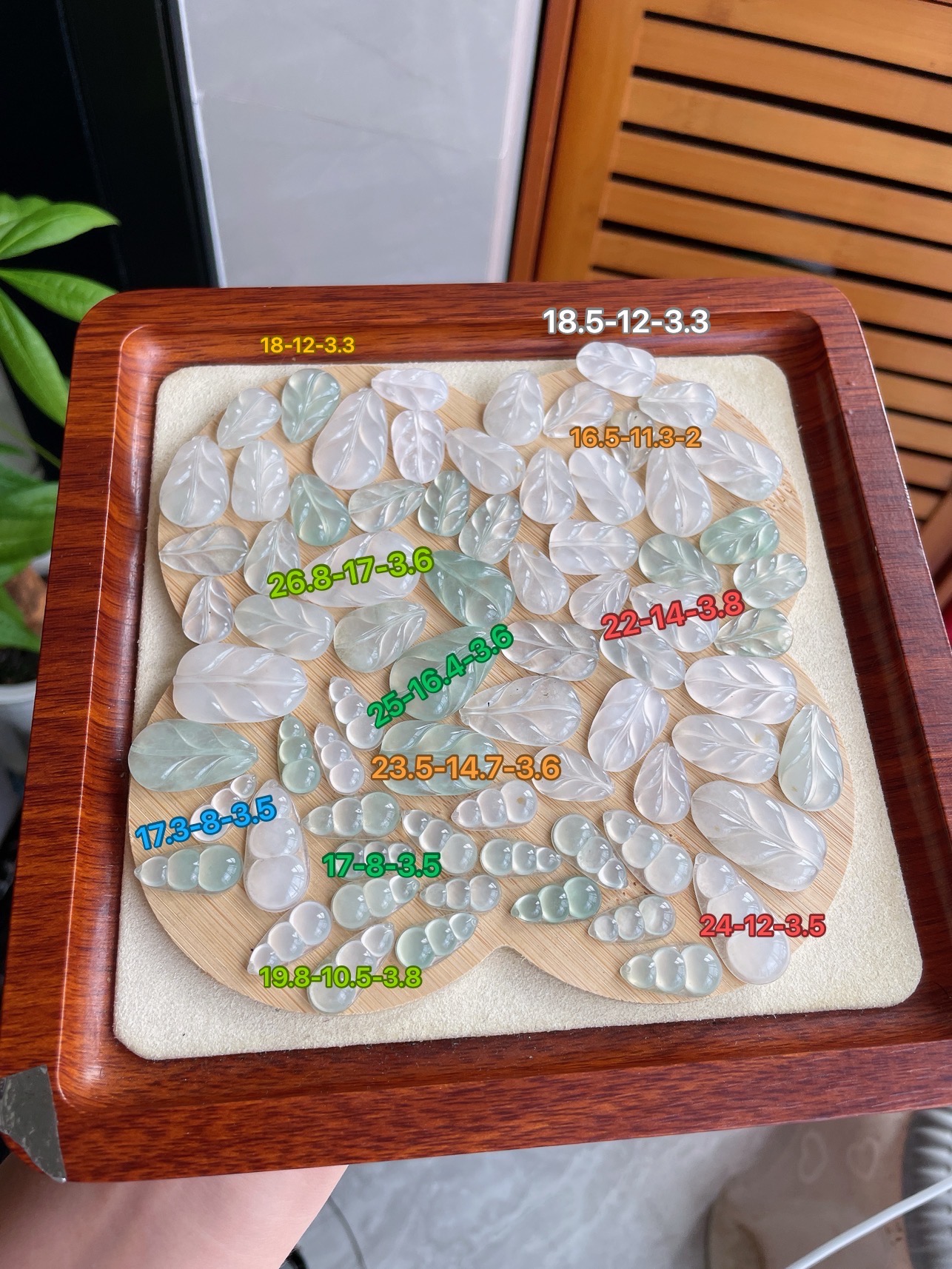 冰种福豆冰胶叶子共72件，尺寸在图，HH，18.5-12-3.3