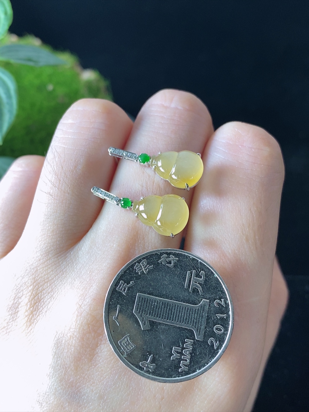 18k金镶冰黄翡葫芦耳钉，无裂，裸石尺寸11-8.3-3.0mm,921hwl6