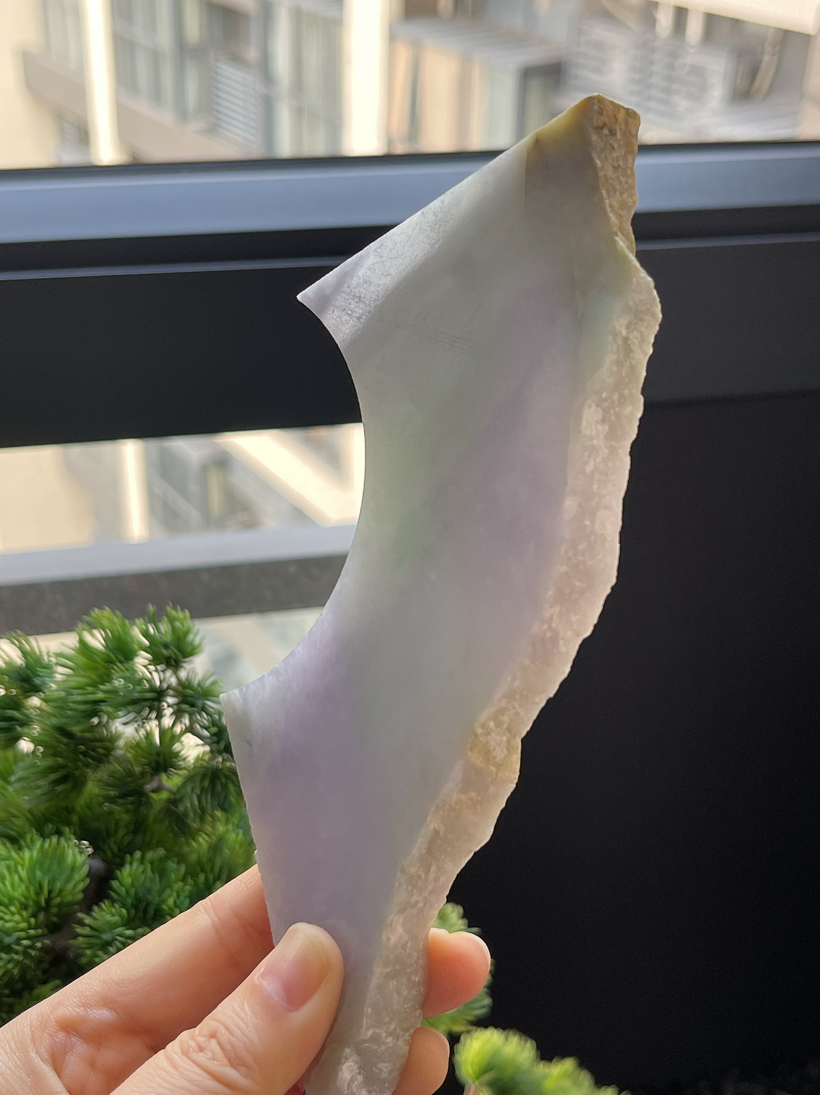 翡翠冰糯种春带彩片料