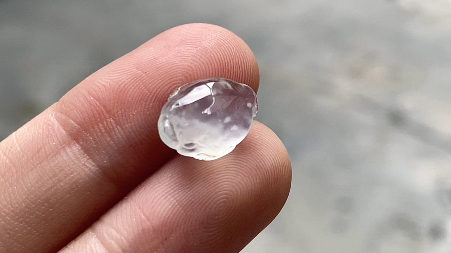 ️ 玻璃种雪花棉金蟾 11.8*9*4.8