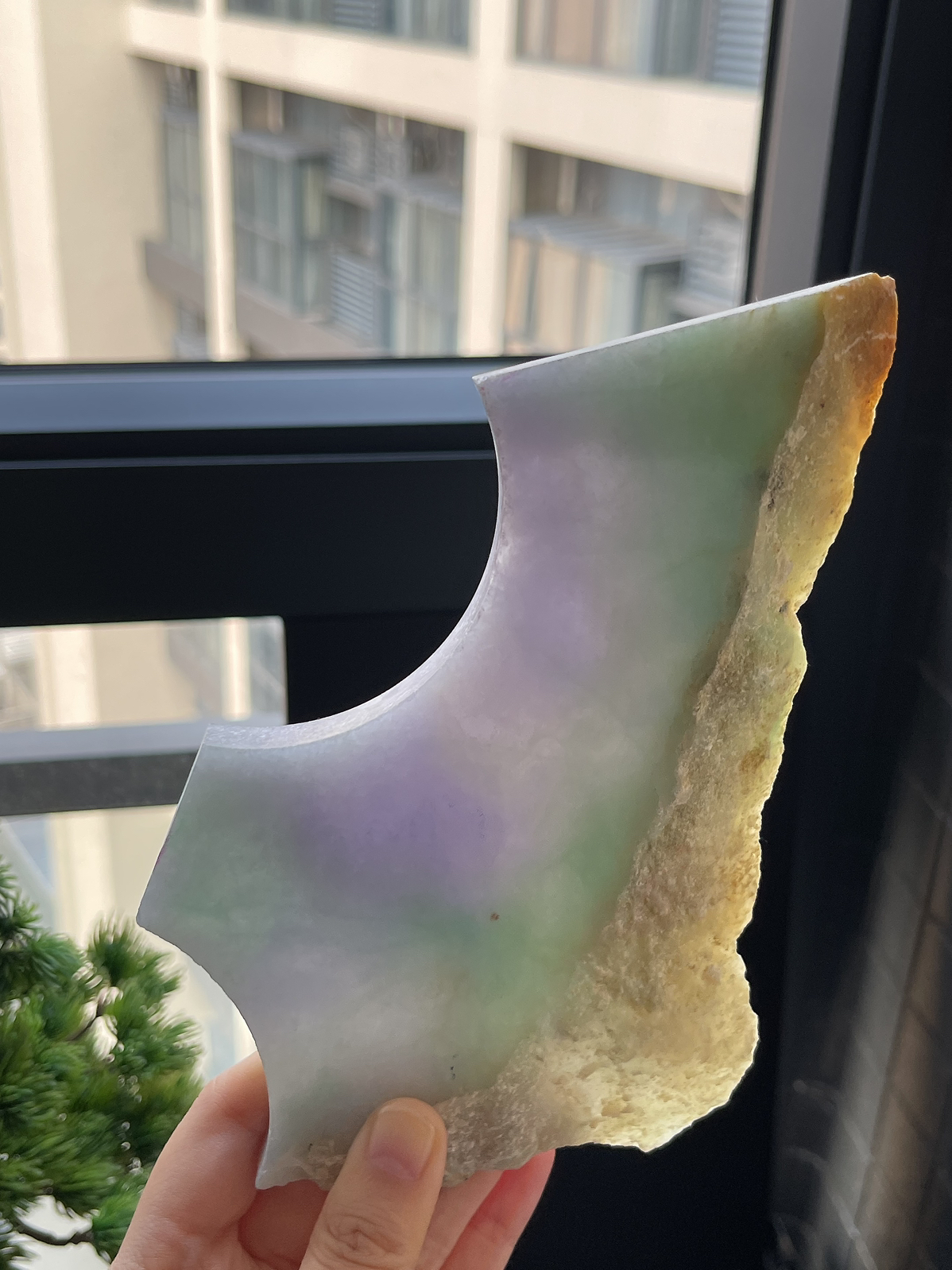 翡翠紫罗兰冰糯种片料
