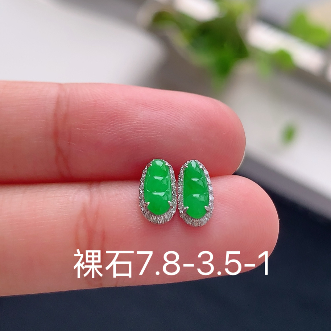 ️ 冰阳绿福豆耳钉 莹莹青翠，种老细腻水润，佩戴优雅时尚 货号25819，7.8-3.5-1