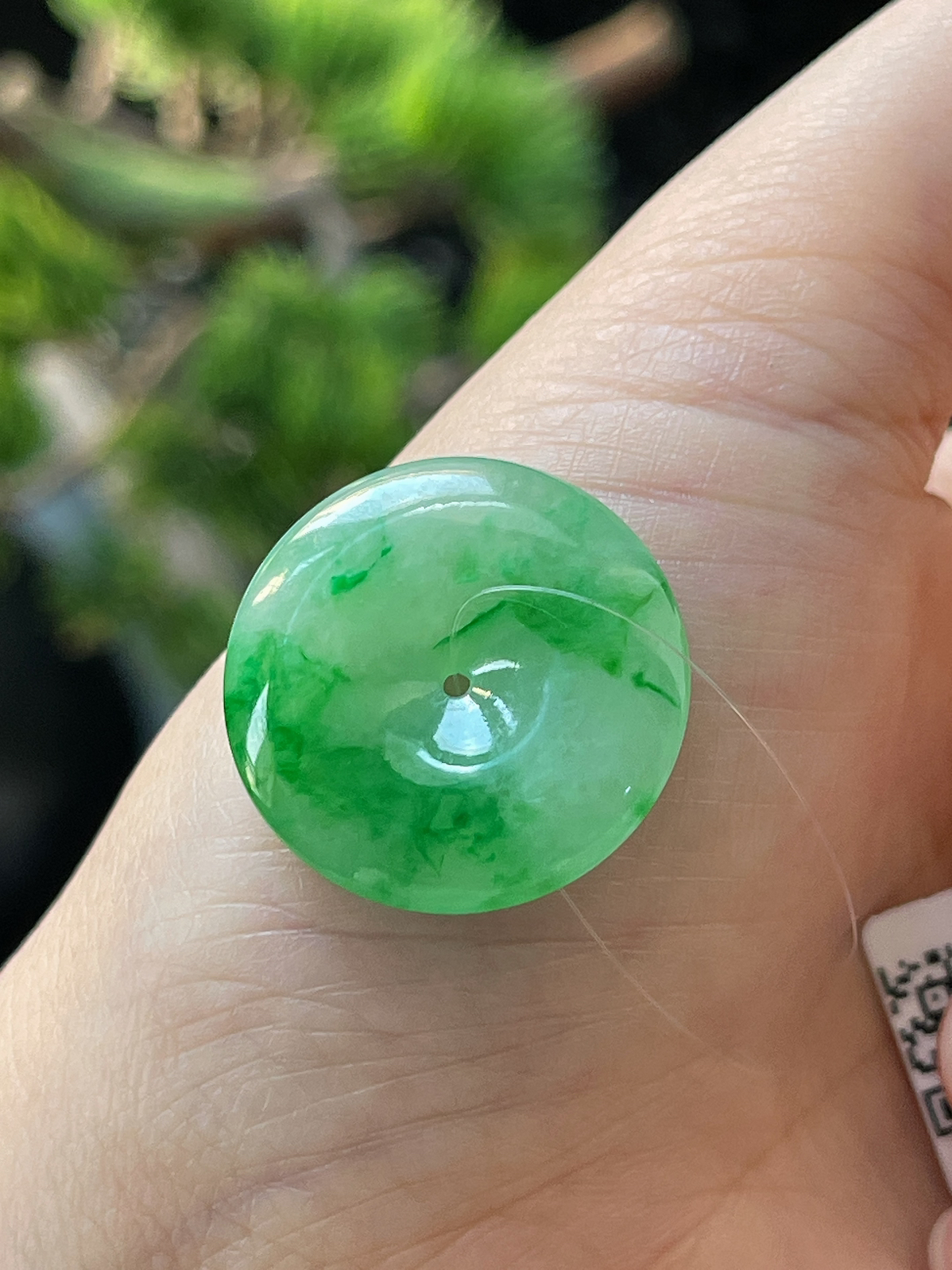 翡翠冰糯种阳绿飘花平安扣