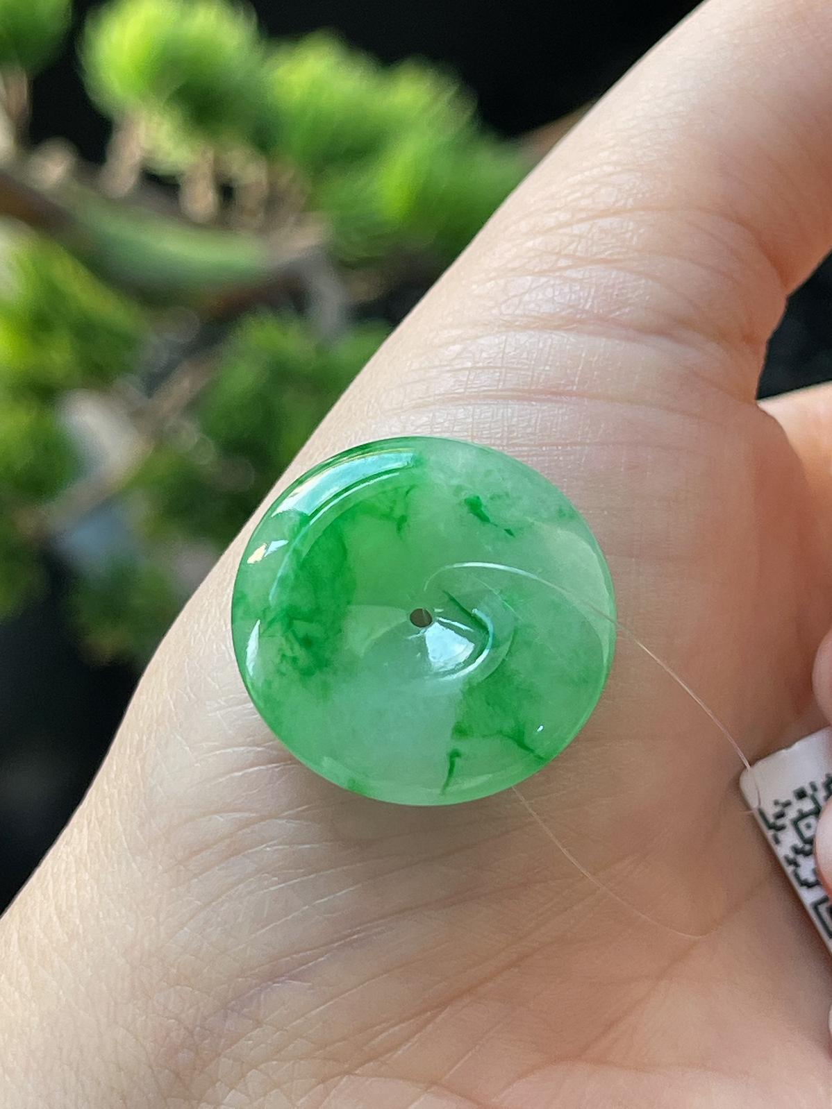 翡翠冰糯种阳绿飘花平安扣
