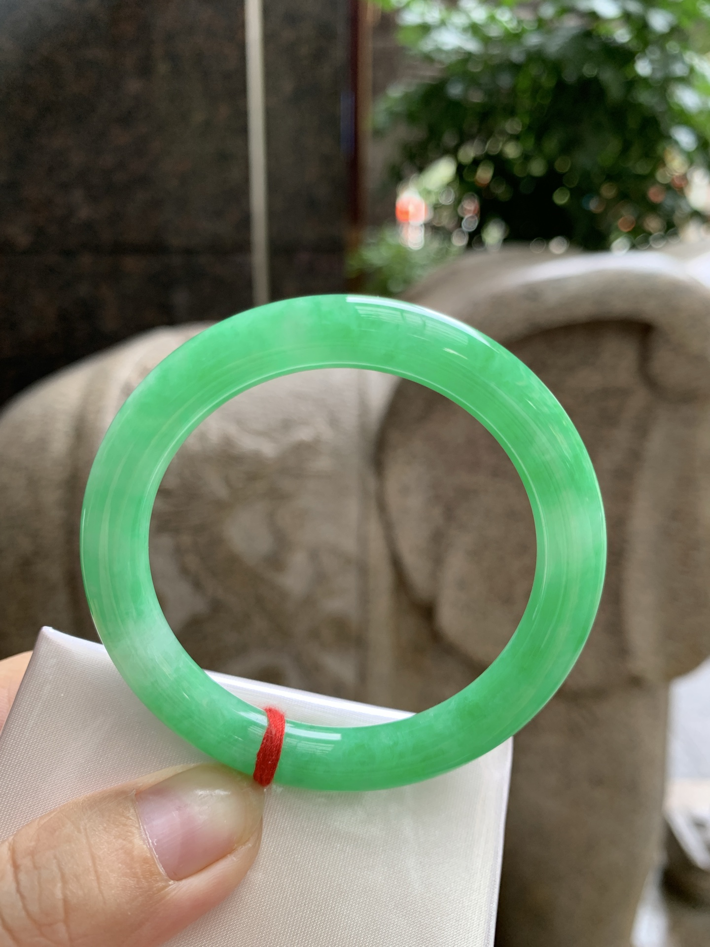满绿圆条 51.4-8.5-8.5 0923-N1656 打灯棉线