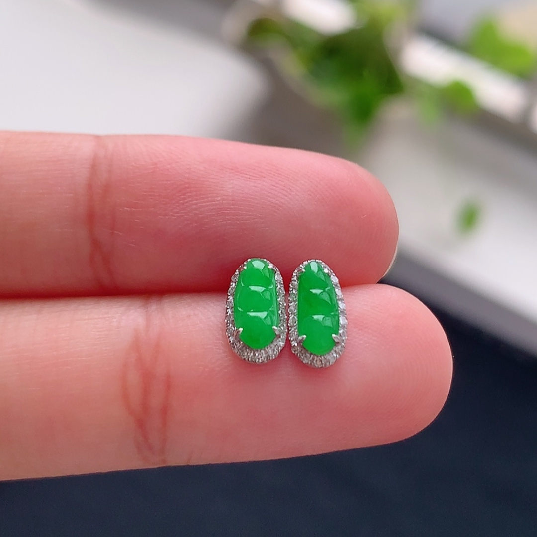 ️ 冰阳绿福豆耳钉 莹莹青翠，种老细腻水润，佩戴优雅时尚 货号25819，7.8-3.5-1