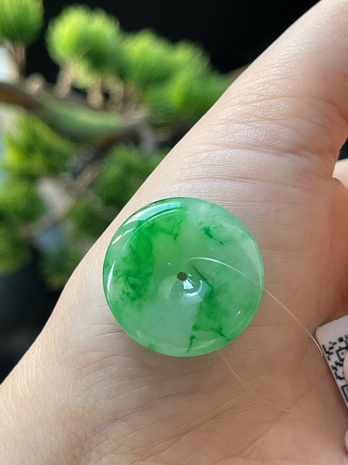 翡翠冰糯种阳绿飘花平安扣