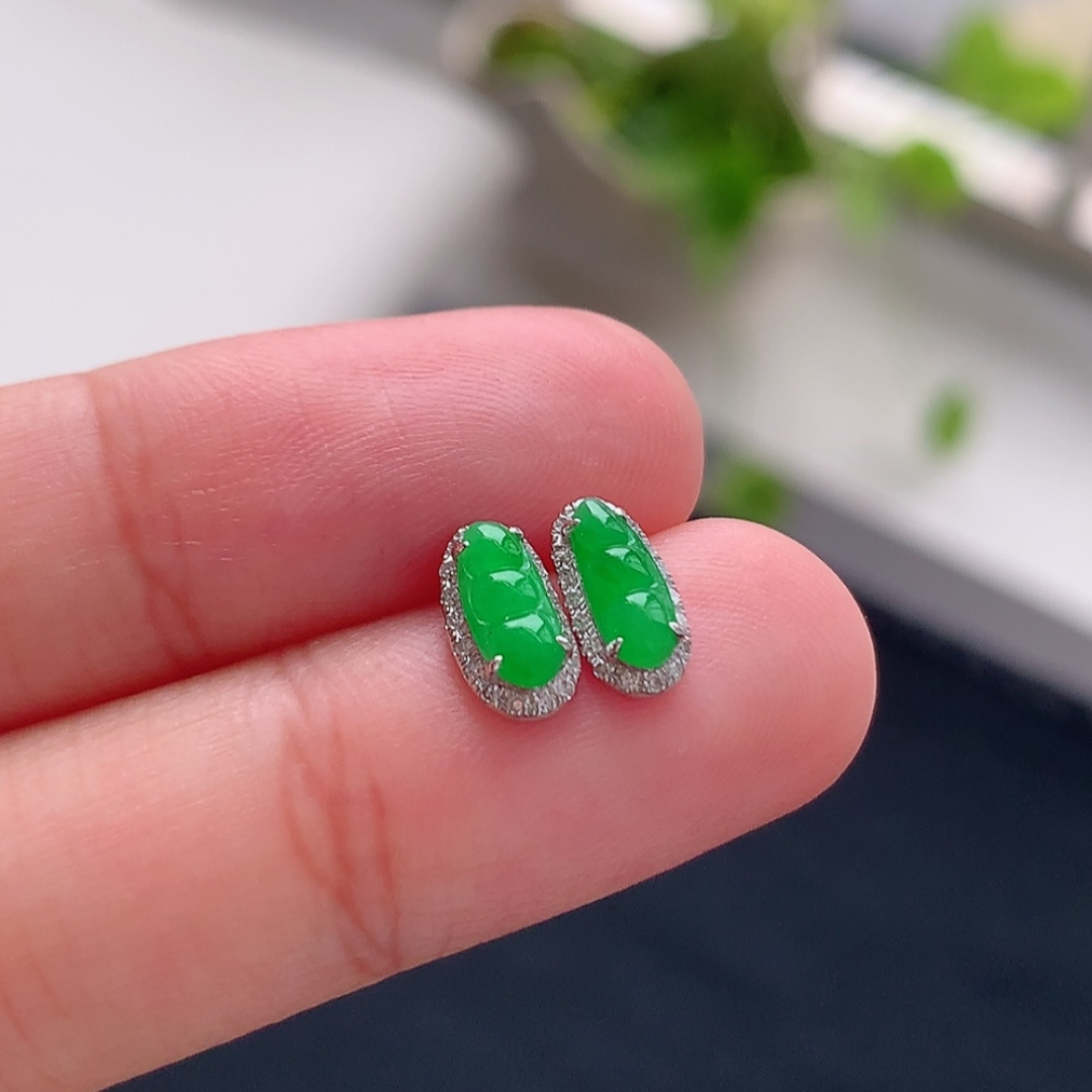 ️ 冰阳绿福豆耳钉 莹莹青翠，种老细腻水润，佩戴优雅时尚 货号25819，7.8-3.5-1