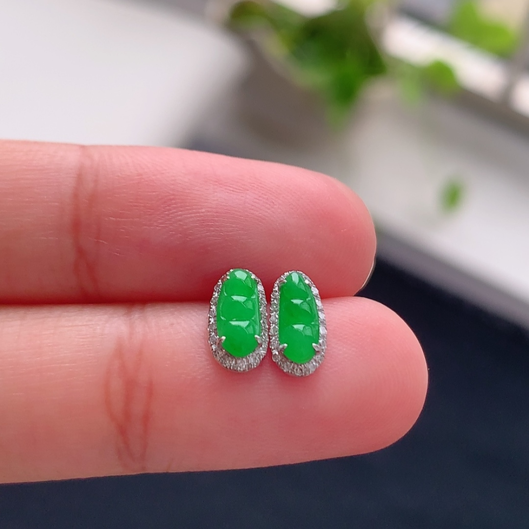 ️ 冰阳绿福豆耳钉 莹莹青翠，种老细腻水润，佩戴优雅时尚 货号25819，7.8-3.5-1