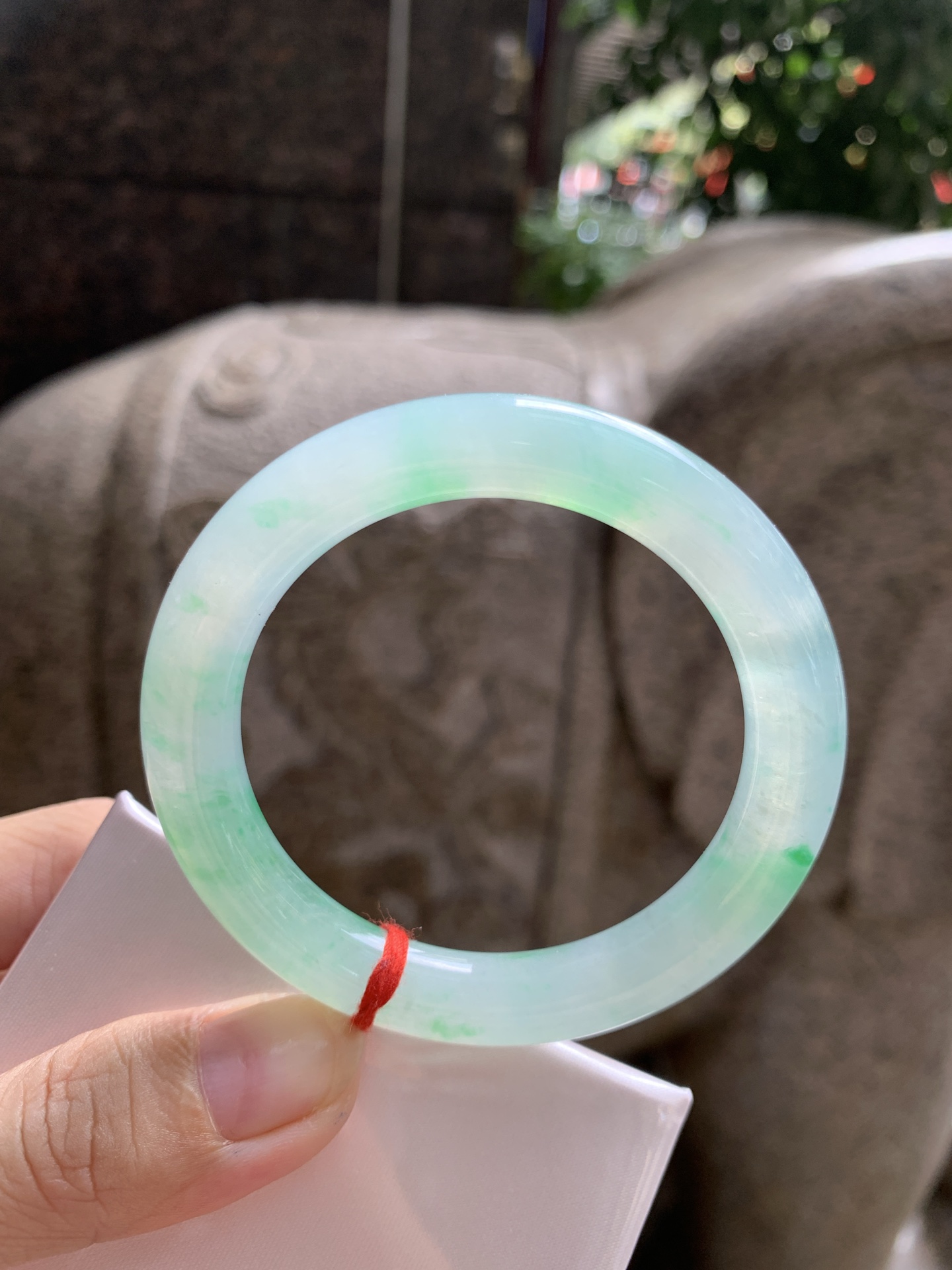 阳绿圆条 50.4-9.1-9.1 0923-N1667-2 打灯细纹，表皮微扣
