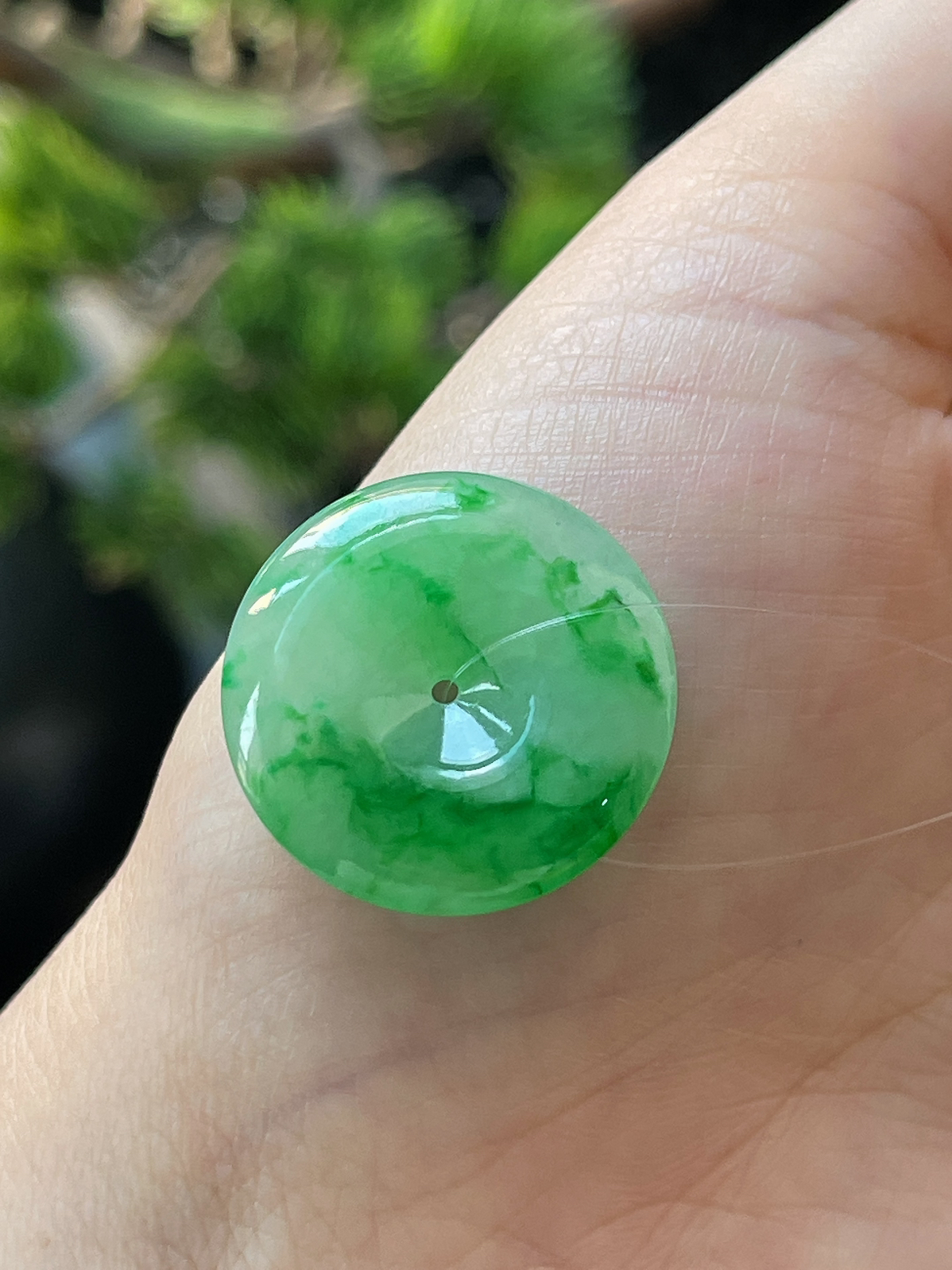 翡翠冰糯种阳绿飘花平安扣