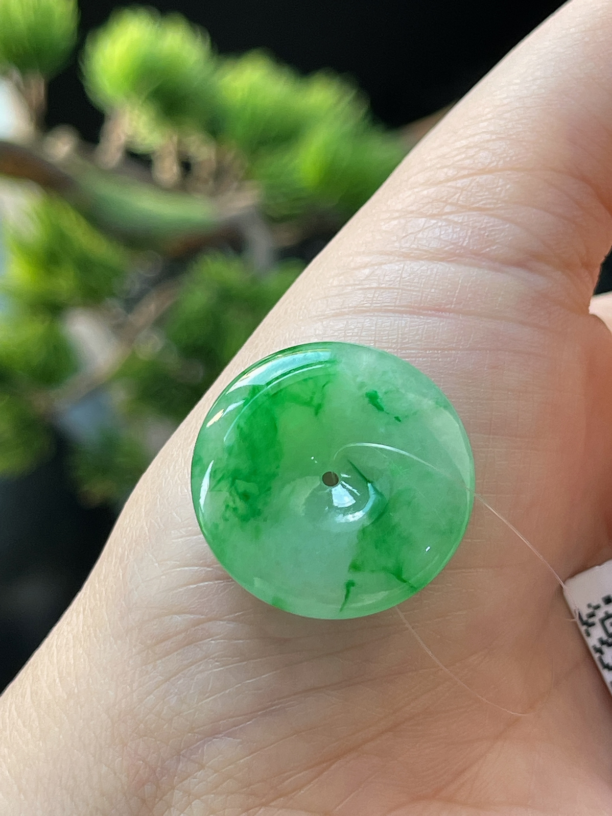 翡翠冰糯种阳绿飘花平安扣