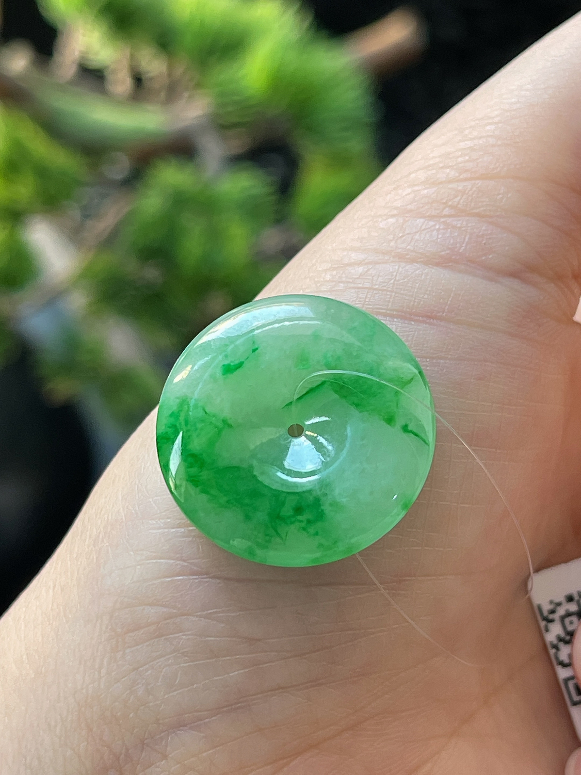 翡翠冰糯种阳绿飘花平安扣