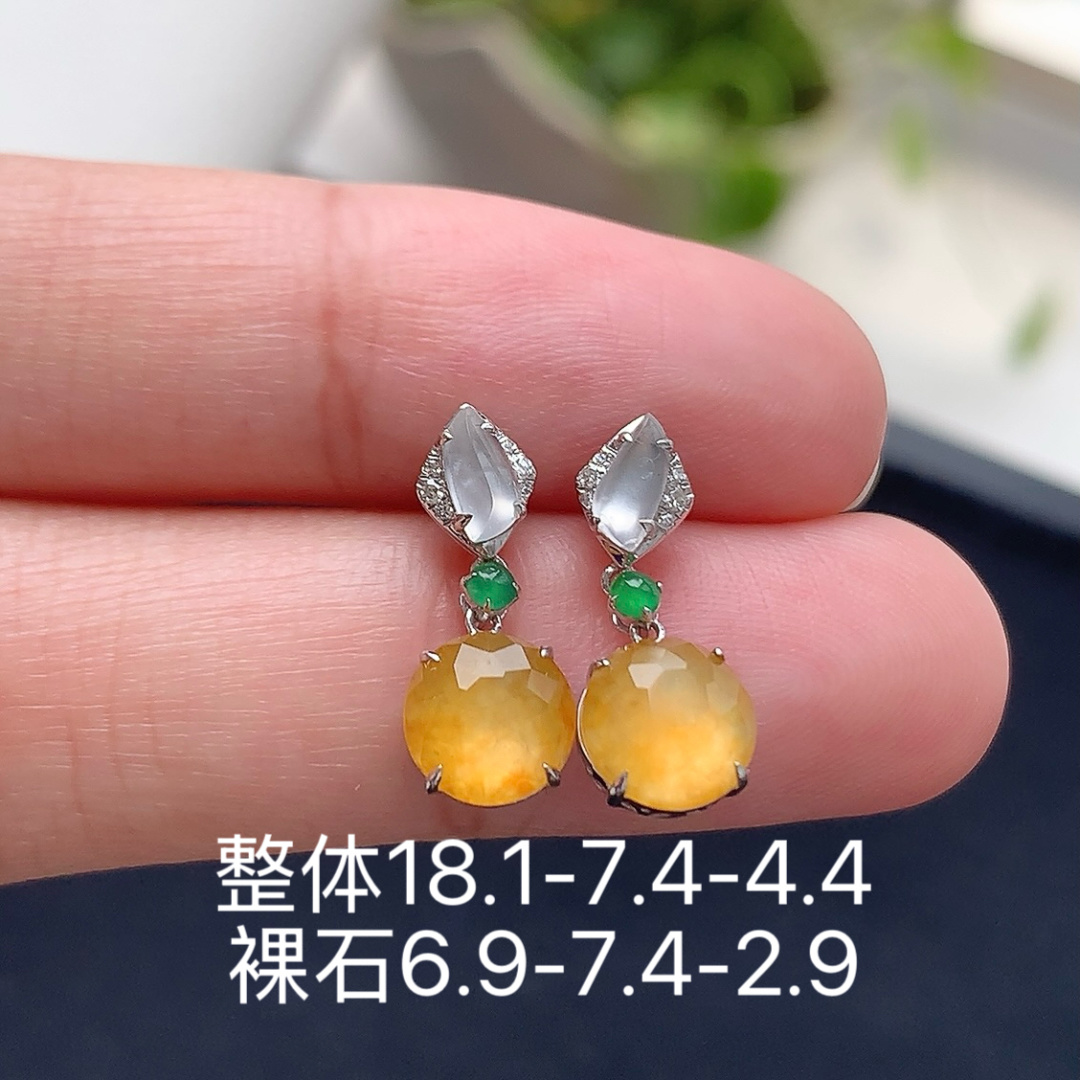 ️ 冰黄耳坠 色系均匀，种老饱满水润，佩戴清新自然 货号51823，18.1-7.4-4.4