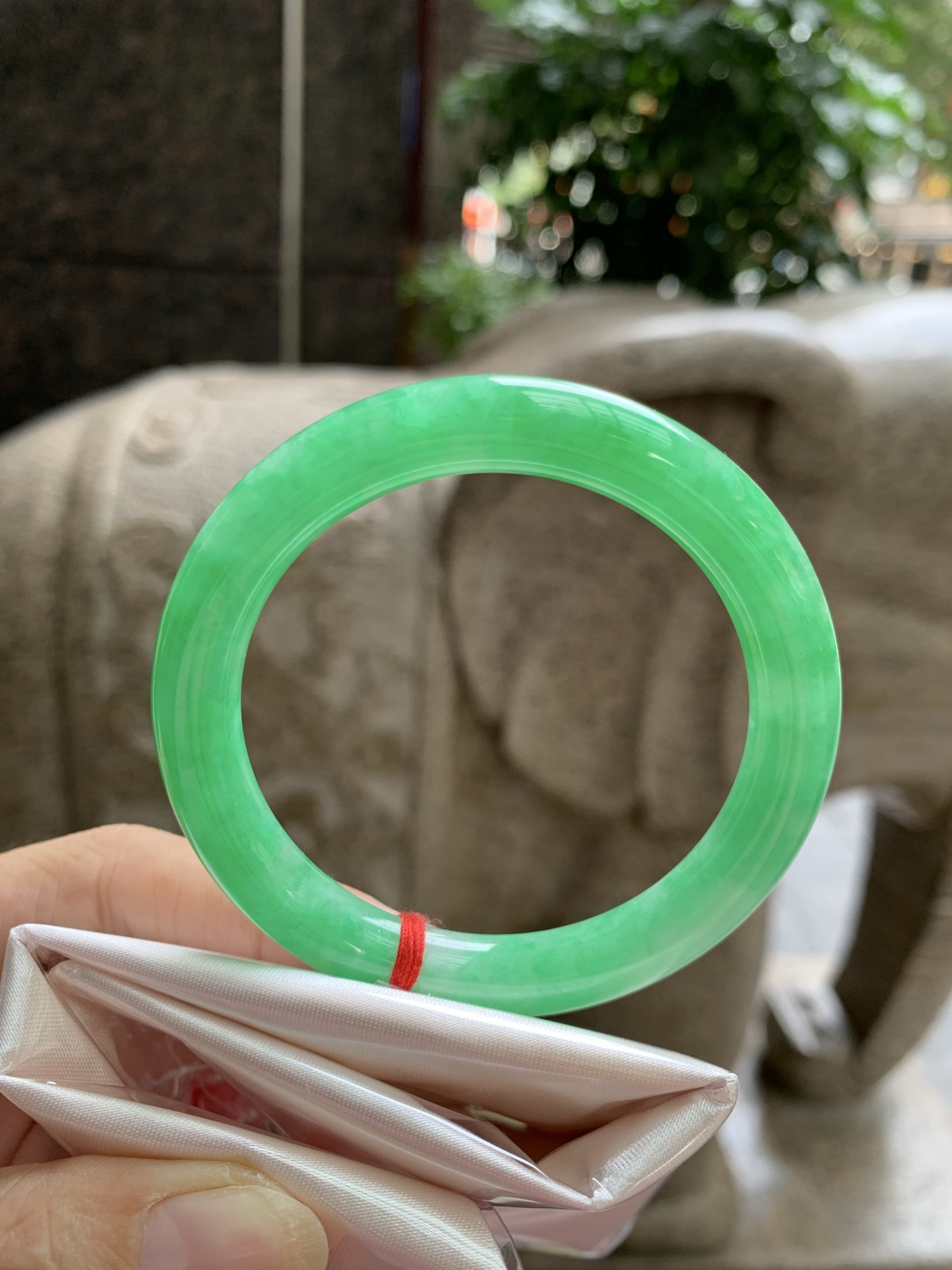 满绿圆条 51.4-8.5-8.5 0923-N1656 打灯棉线