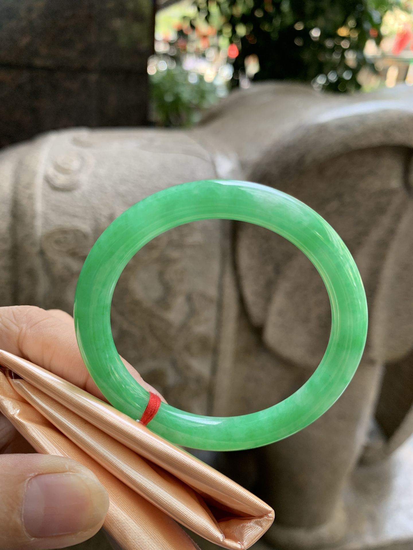 满绿美人条 51.5-6.8-6.8 0924-N1675 打灯细纹