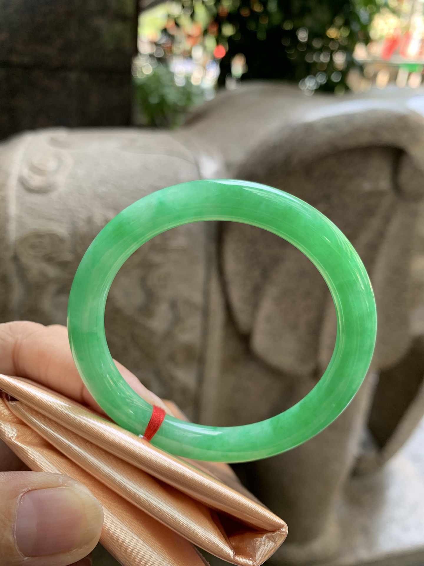 满绿美人条 51.5-6.8-6.8 0924-N1675 打灯细纹