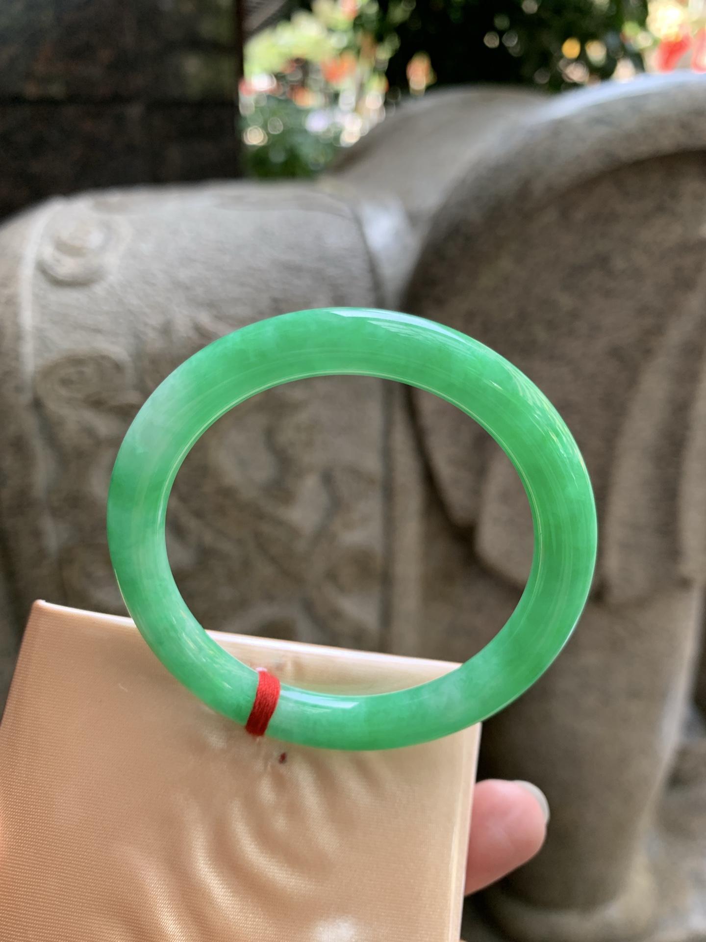满绿美人条 51.5-6.8-6.8 0924-N1675 打灯细纹