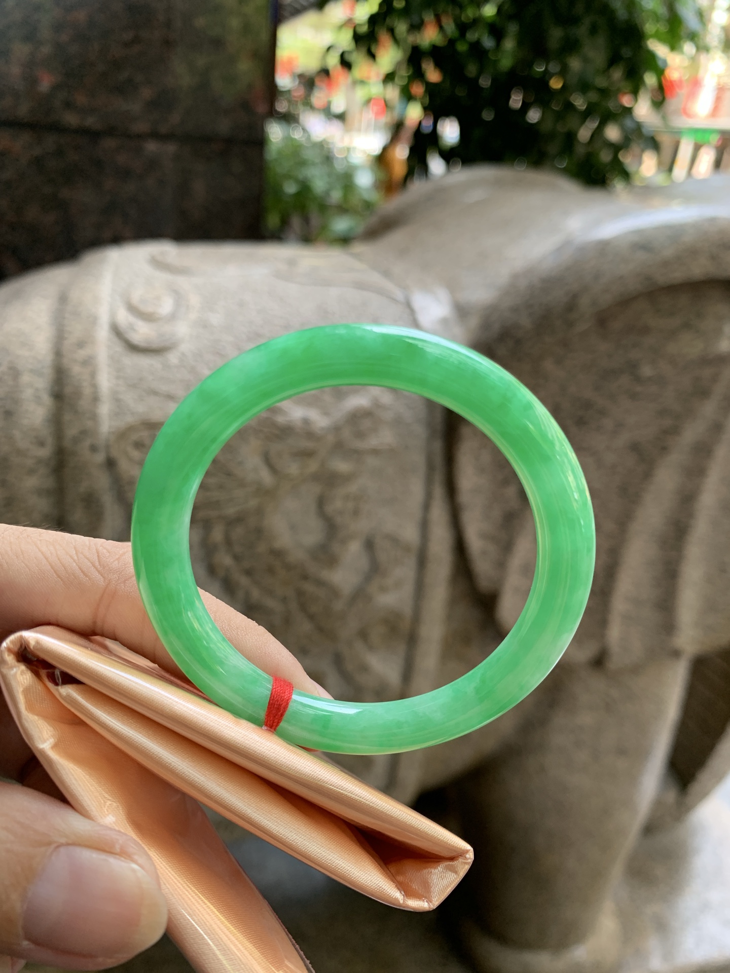 满绿美人条 51.5-6.8-6.8 0924-N1675 打灯细纹