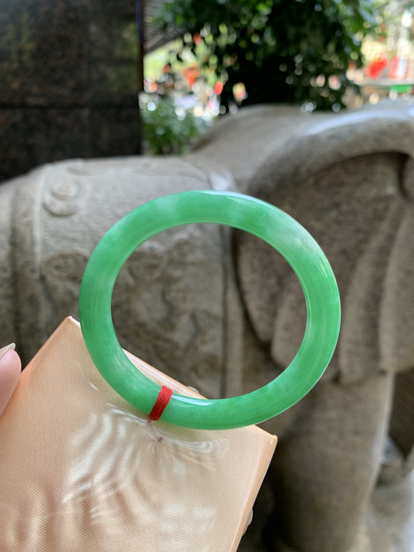 满绿美人条 51.5-6.8-6.8 0924-N1675 打灯细纹