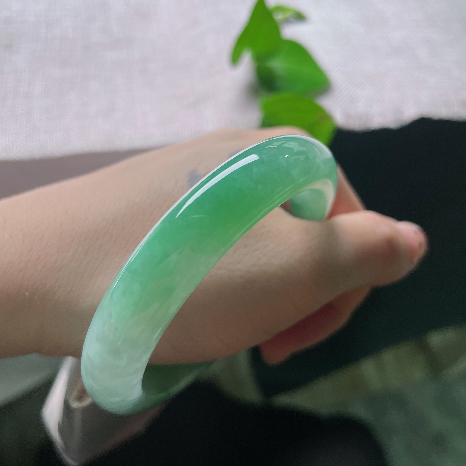 55/11.7/8.3，绿底正圈，贵气，耐看，春色满园，一点棉，雍容华贵，甜美，ss58202a