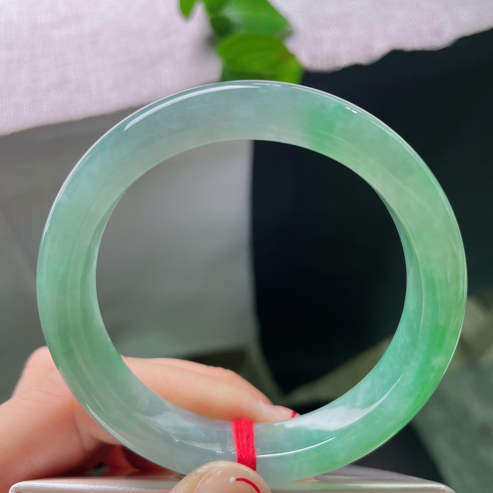 55/11.7/8.3，绿底正圈，贵气，耐看，春色满园，一点棉，雍容华贵，甜美，ss58202a