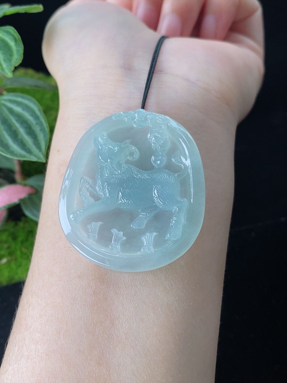 冰种生肖牛牌，无裂，尺寸41.4-36-5.5mm, 927amx
