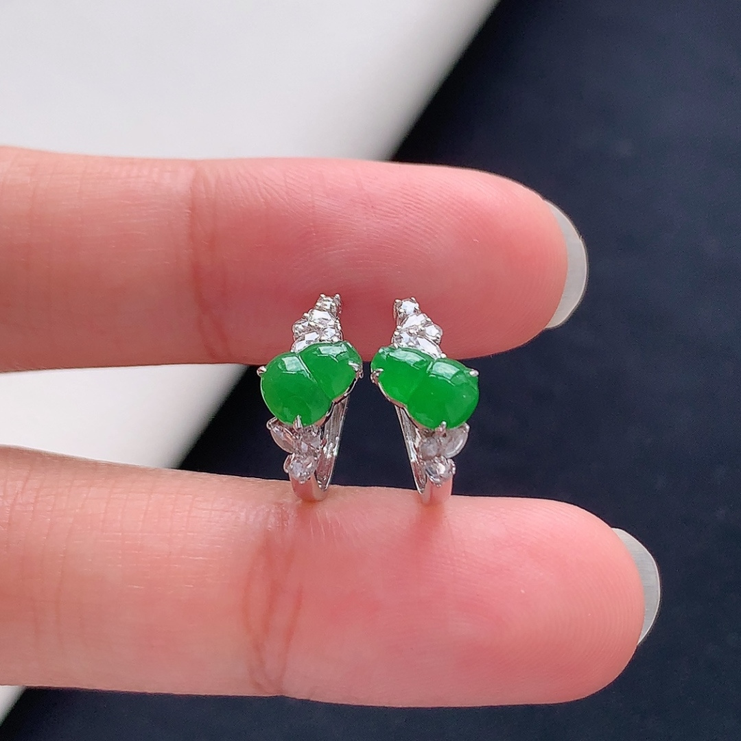 ️ 冰阳绿葫芦耳扣 翠色清新，底子细腻莹润，佩戴简单大方货号51927，6.6-5.1-1.2