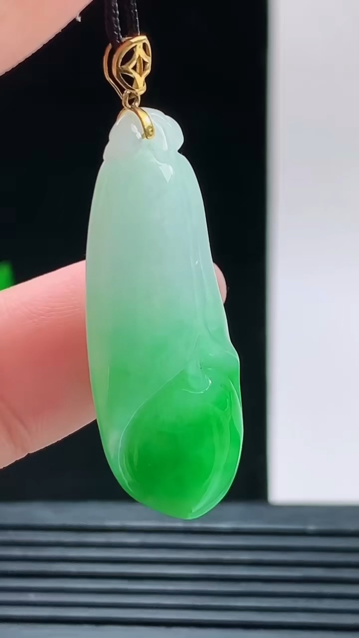 天然A货翡翠玉兰花吊坠，尺寸34.4-14.5-8.3重量:7.29g 1010
10月11日