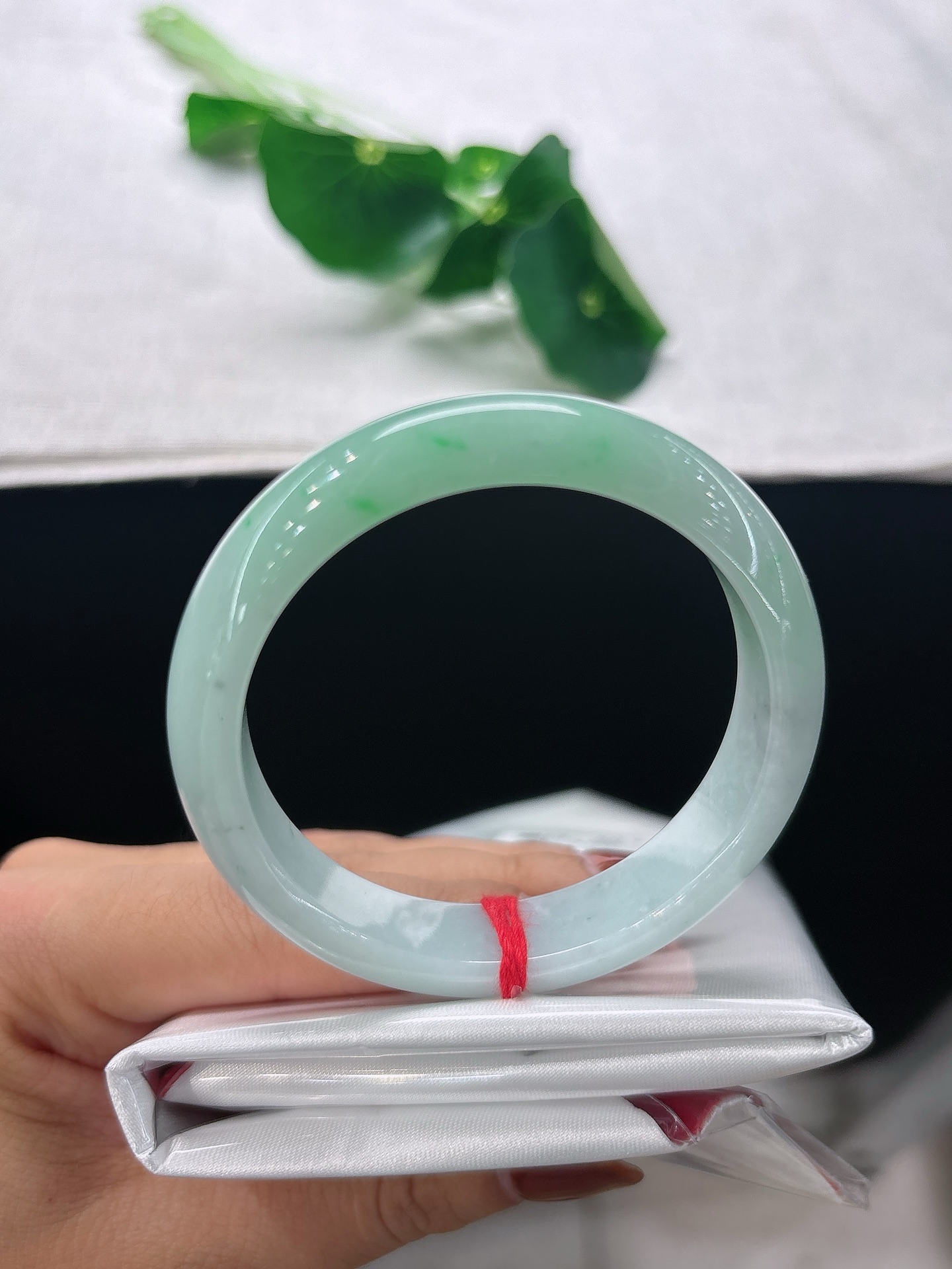 天然翡翠手镯，圈口50.7/11.7/7.5冰润果绿，底子莹润洁净，似春日初生青果，生机盎然，无裂