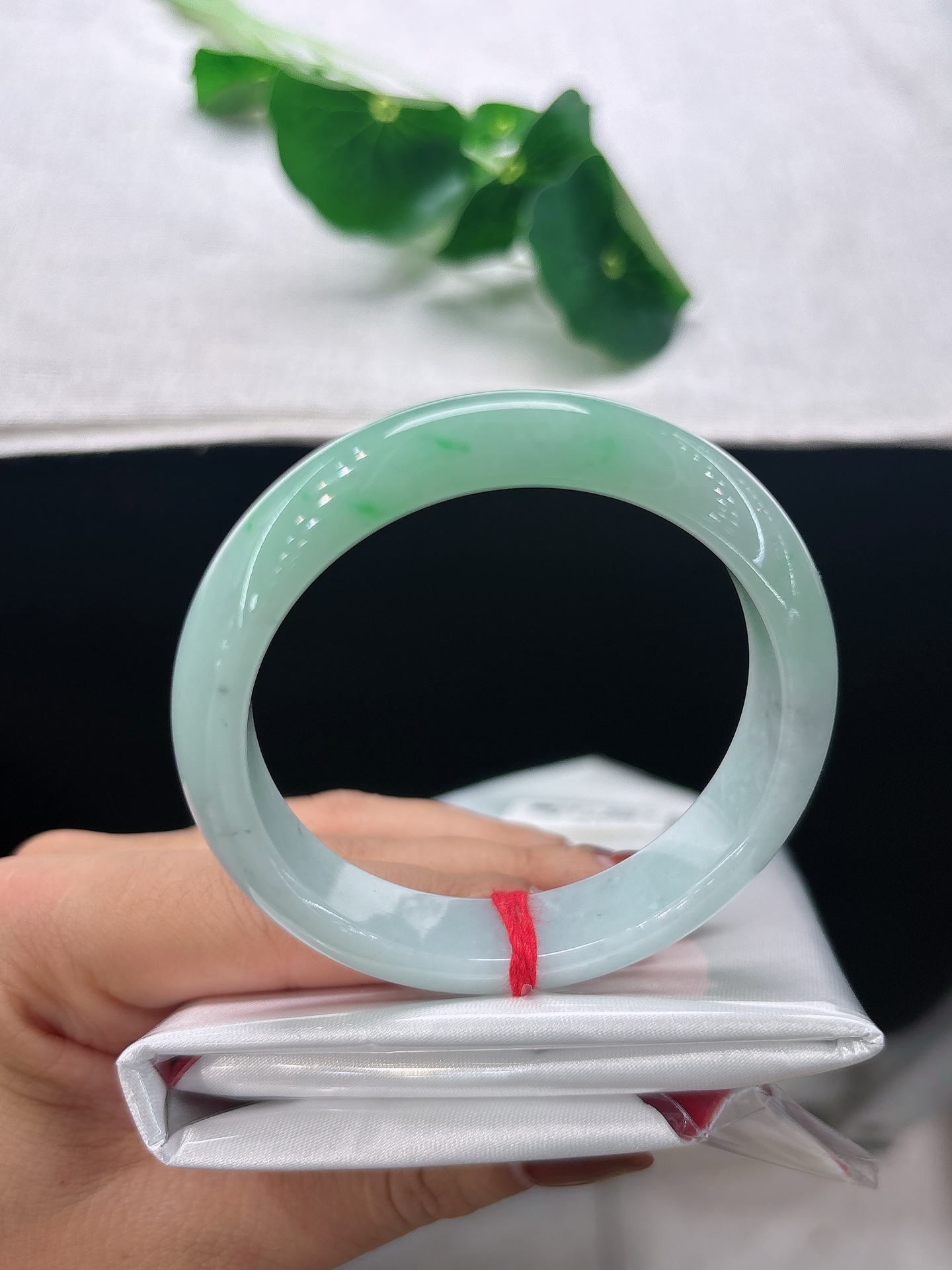 天然翡翠手镯，圈口50.7/11.7/7.5冰润果绿，底子莹润洁净，似春日初生青果，生机盎然，无裂