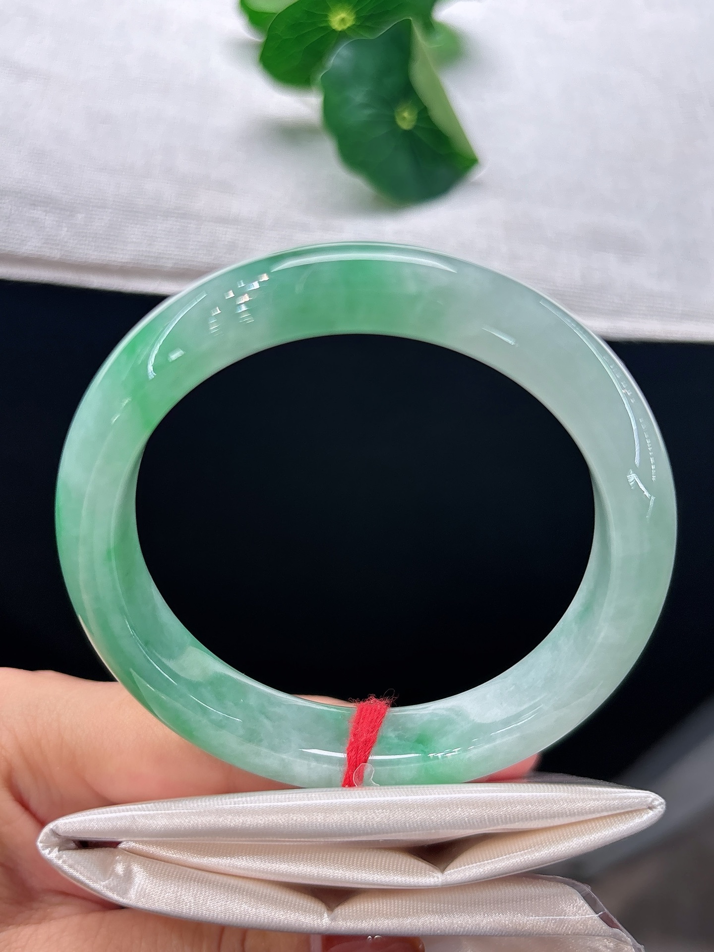 天然翡翠手镯，圈口57.8/12/9.3冰润阳绿，翠色铺满镯身，似春山凝翠，气韵清雅