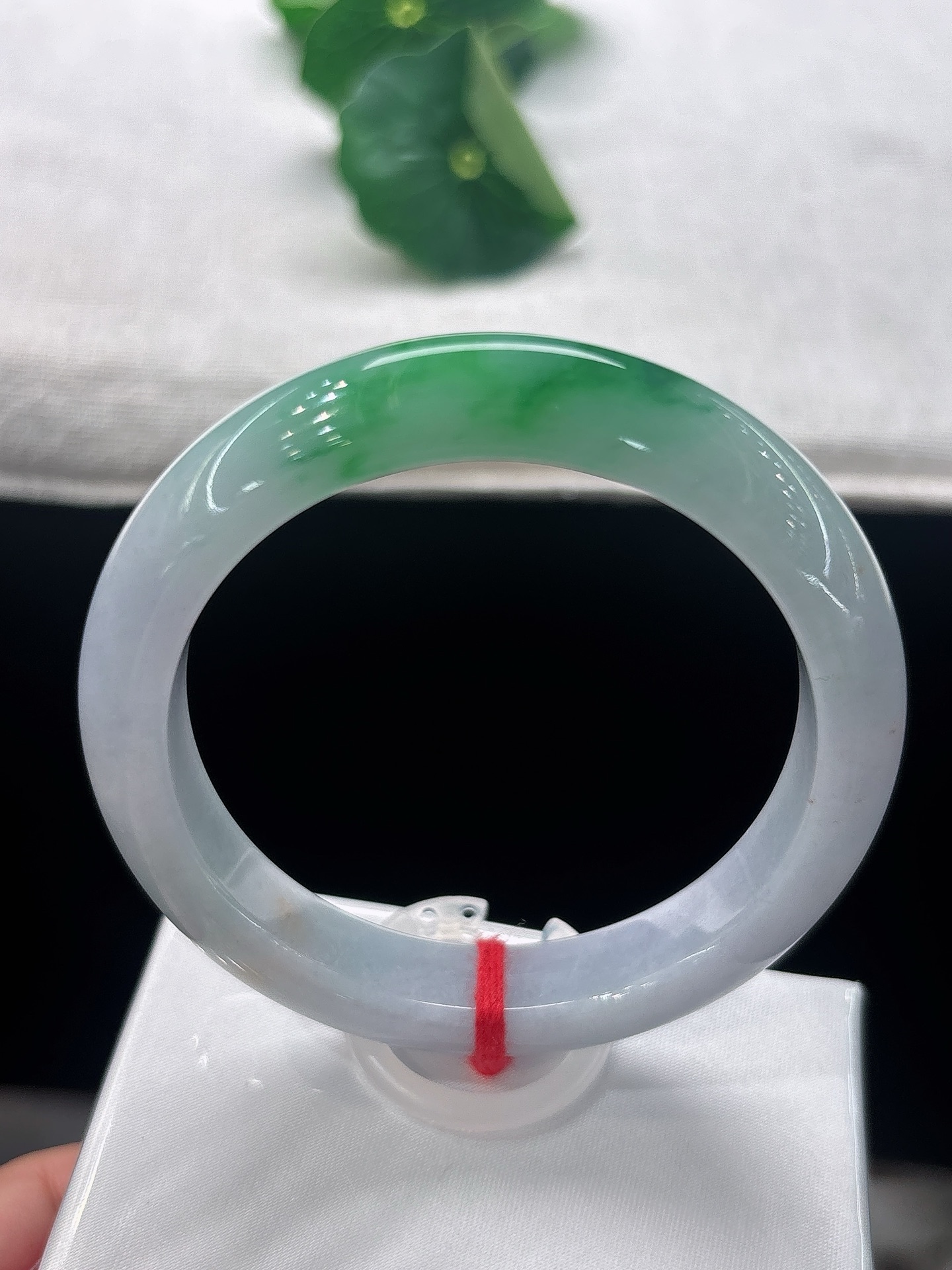 天然翡翠手镯，圈口55/11.1/8.8，带色阳绿，如碧色流云落于镯上，一绿一素相映，明艳雅致，韵味悠长，无裂
