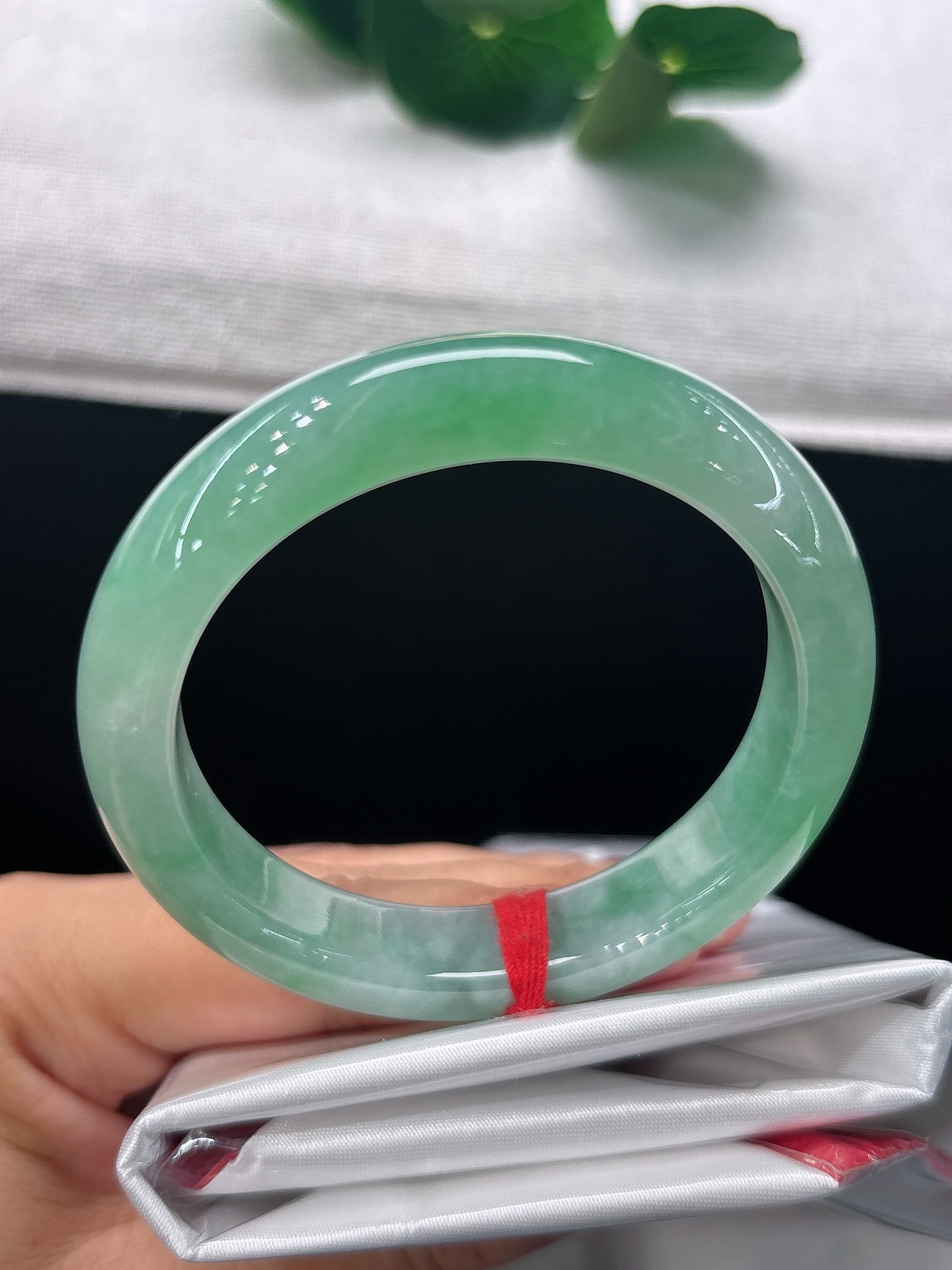 天然翡翠手镯，圈口52.6/11.7/8.2，正圈俏绿悠然漫染，生机盈盈，雅致灵动