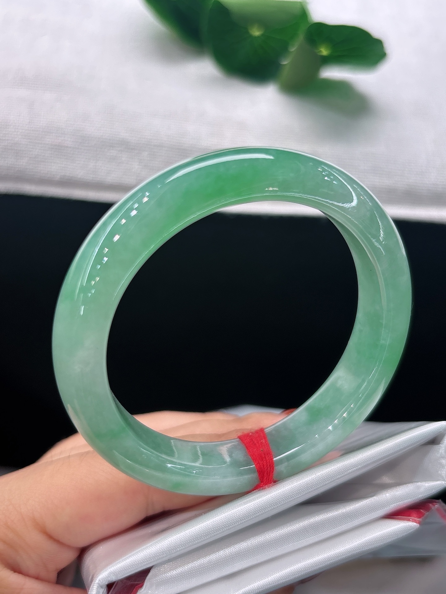 天然翡翠手镯，圈口52.6/11.7/8.2，正圈俏绿悠然漫染，生机盈盈，雅致灵动