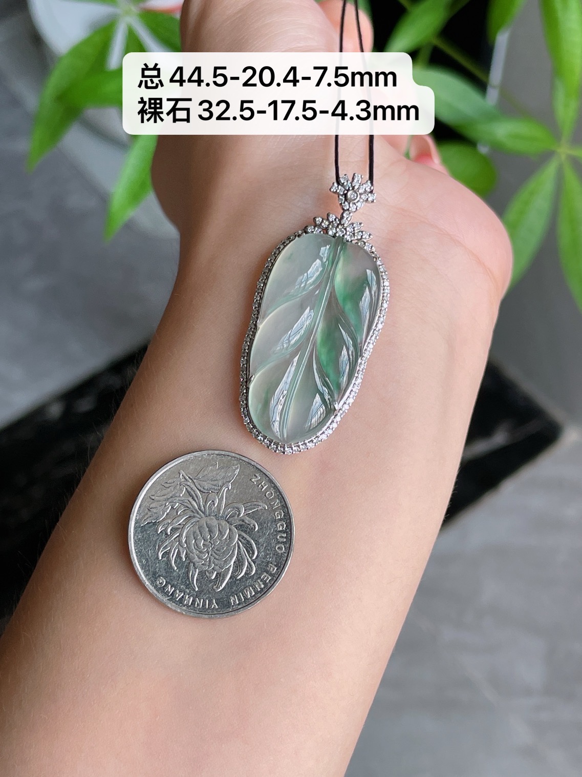 18k金钻镶冰种飘花叶子, 总44.5-20.4-7.5mm 裸石32.5-17.5-4.3mm S85，44.5-20.4-7.5
