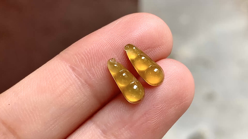 ️ 黄金福豆一对 10.6*4.2*2.3 完整