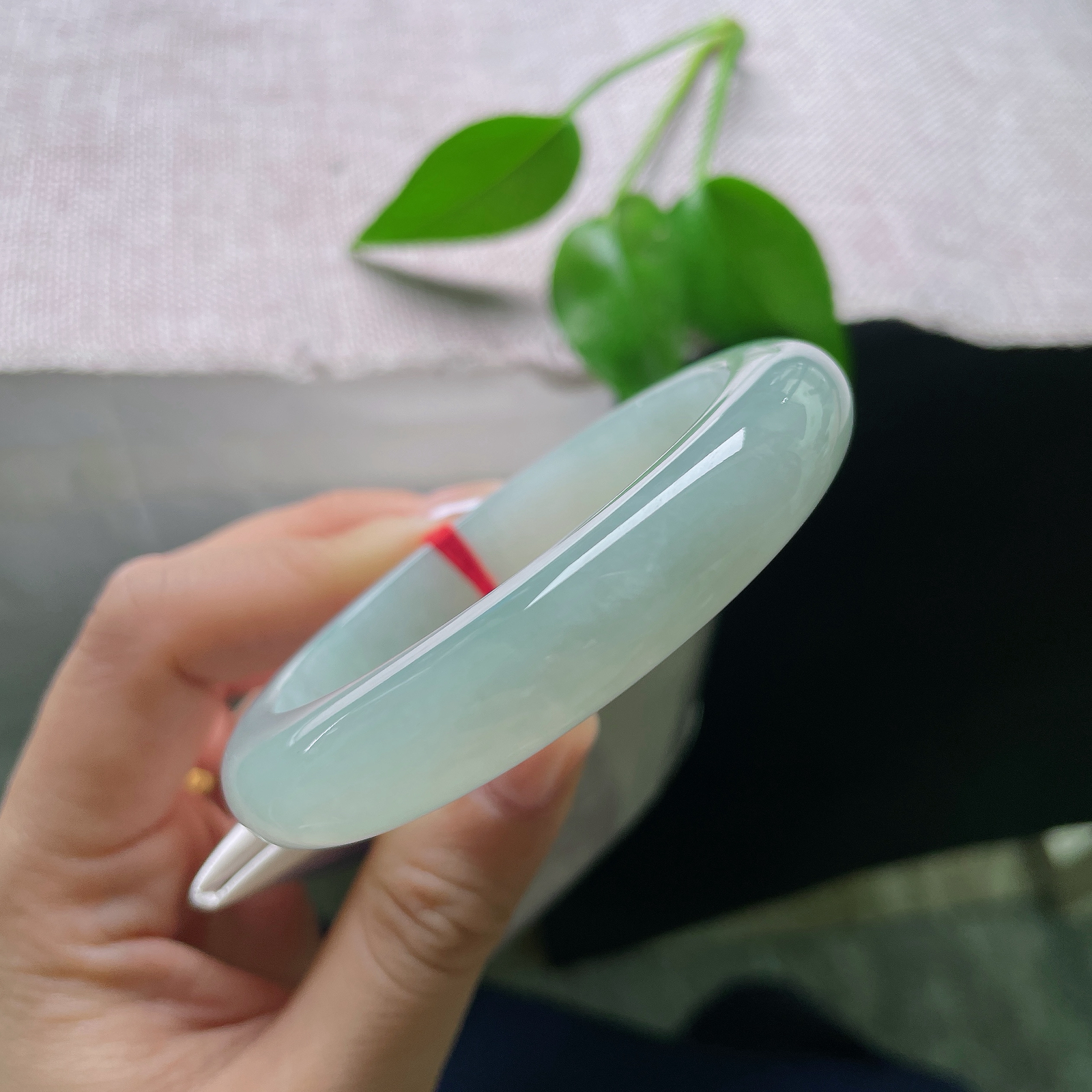 #限时优惠#55.5/12/9.1，淡绿底正圈，清浅伊人，素雅秀丽，端庄大方，种老ss59126a