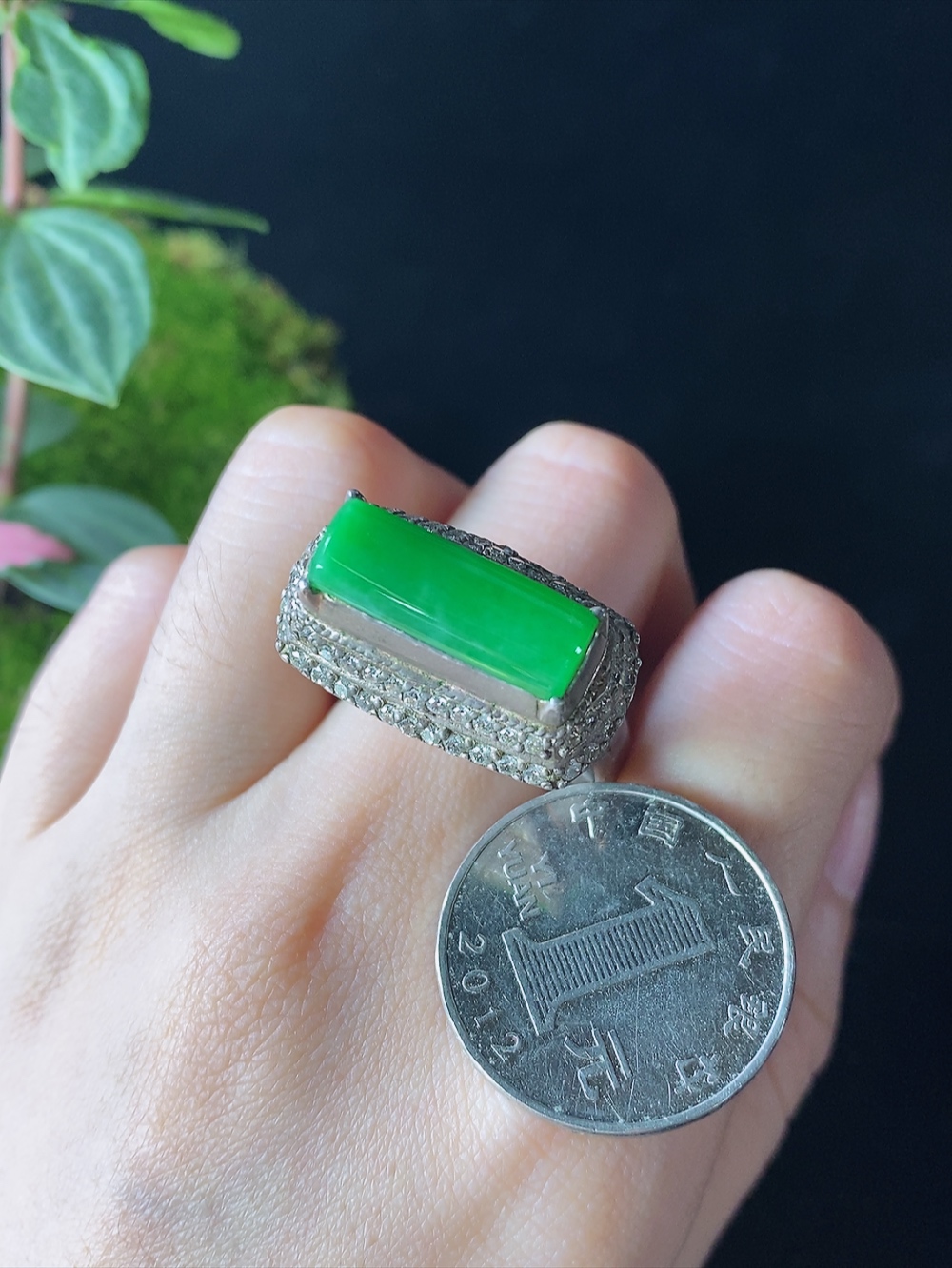 满绿马鞍戒面，无裂，尺寸17.7-6.5-1.7mm, 109sl
