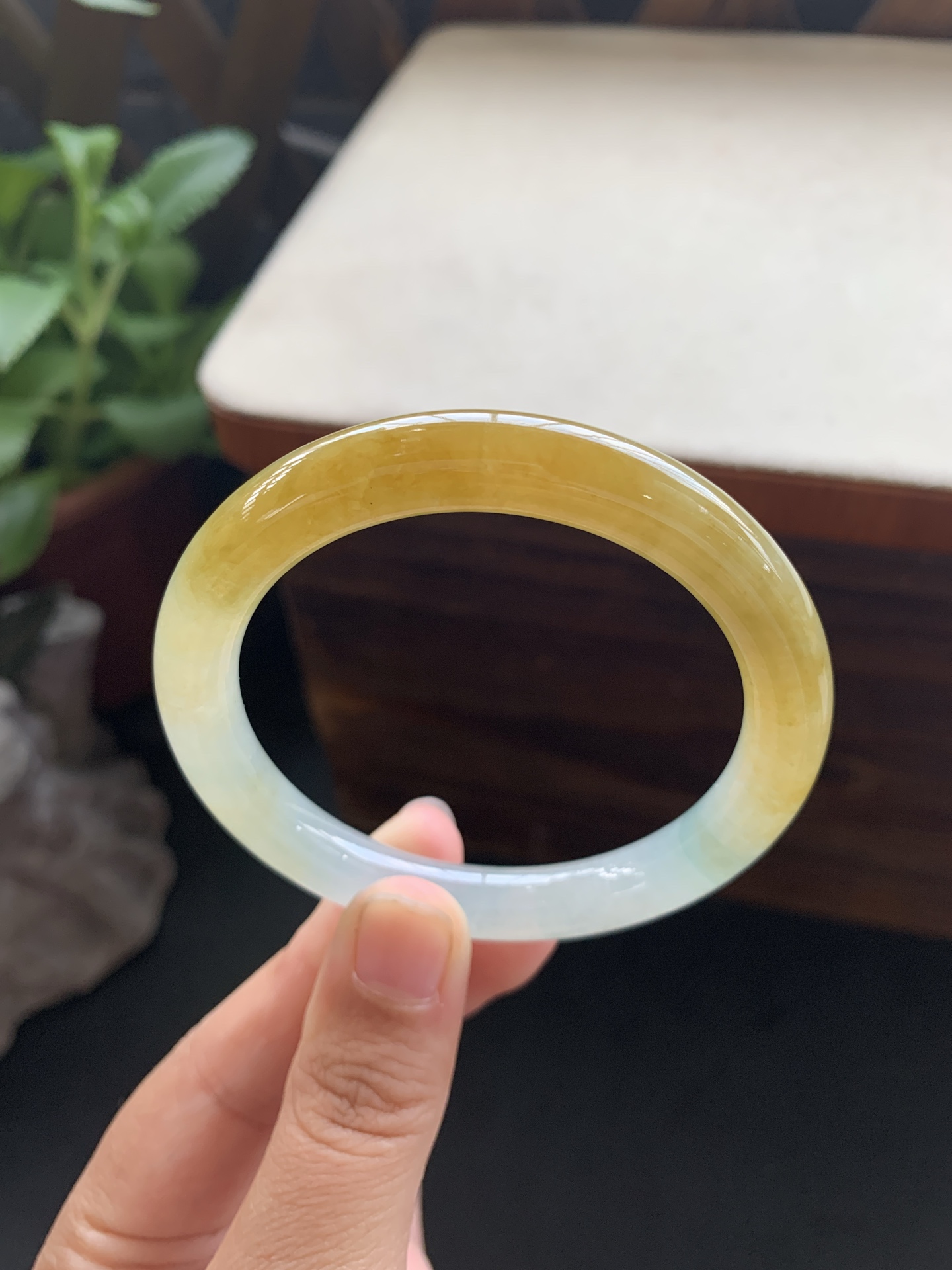 34，老坑浓浓黄加绿冰胶圆条手镯，圈口52.2-8.6-8.3，黄加绿渐变融合，自带光芒，秋日的阳光