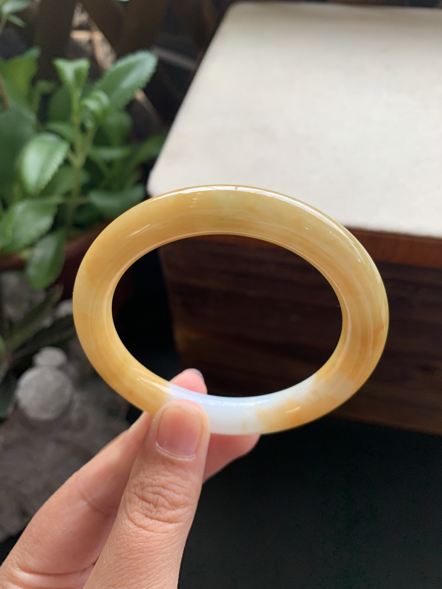 73，冰润细腻黄翡圆条手镯，圈口52.7-9.4-9.4，冰润细腻，种老肉细，水头好，颜色美，上手好