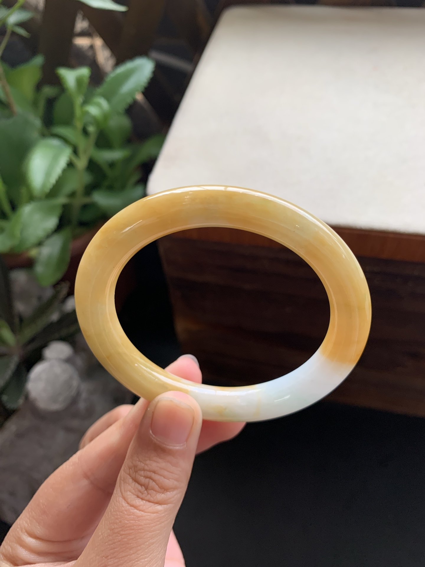 73，冰润细腻黄翡圆条手镯，圈口52.7-9.4-9.4，冰润细腻，种老肉细，水头好，颜色美，上手好看，清爽干净，特色好看，无裂，24小时鉴赏期，可退换