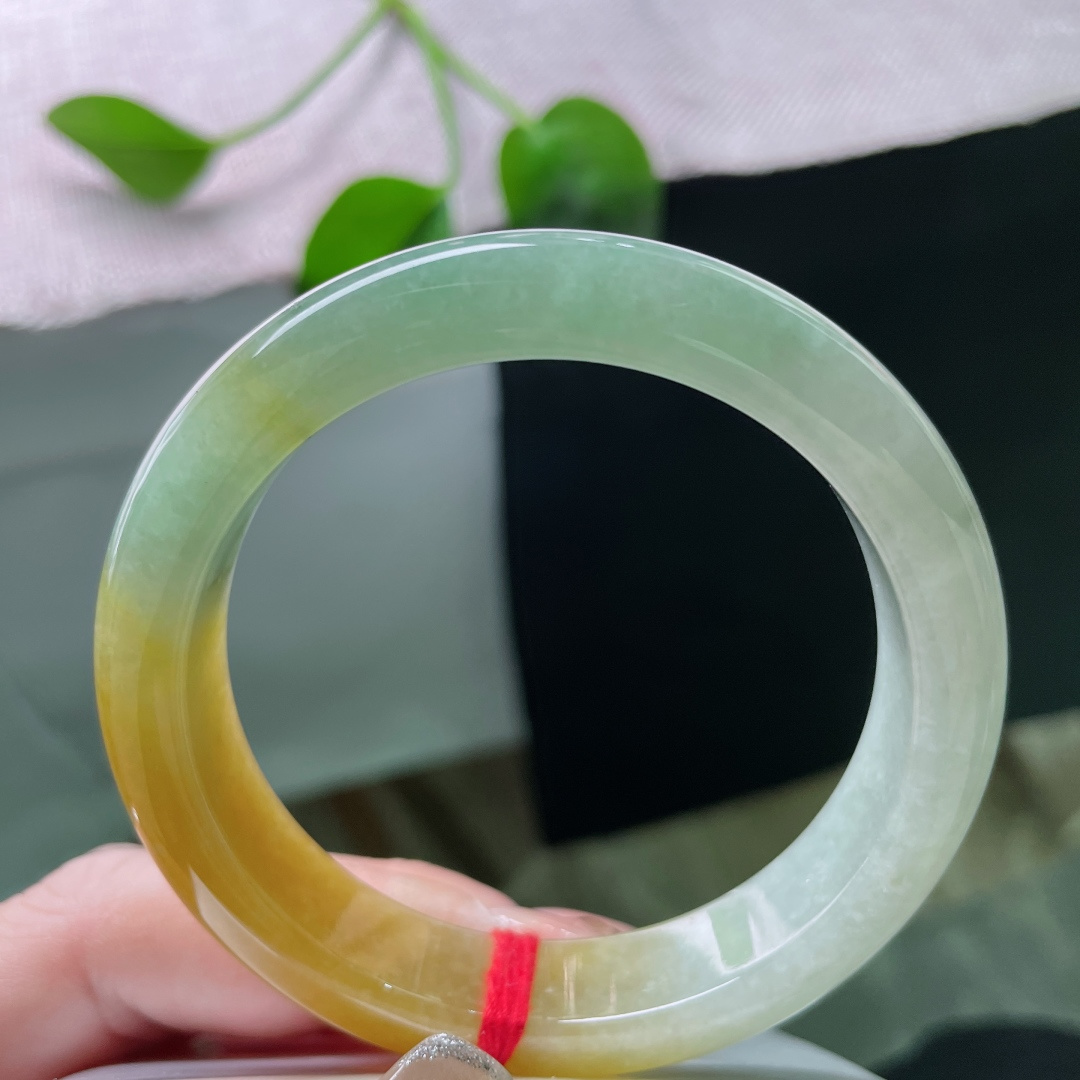 55.2/12.5/8.4黄加绿正圈，水润细腻，大地鎏金，碧色入骨，典雅贵气，无裂，ss57244a